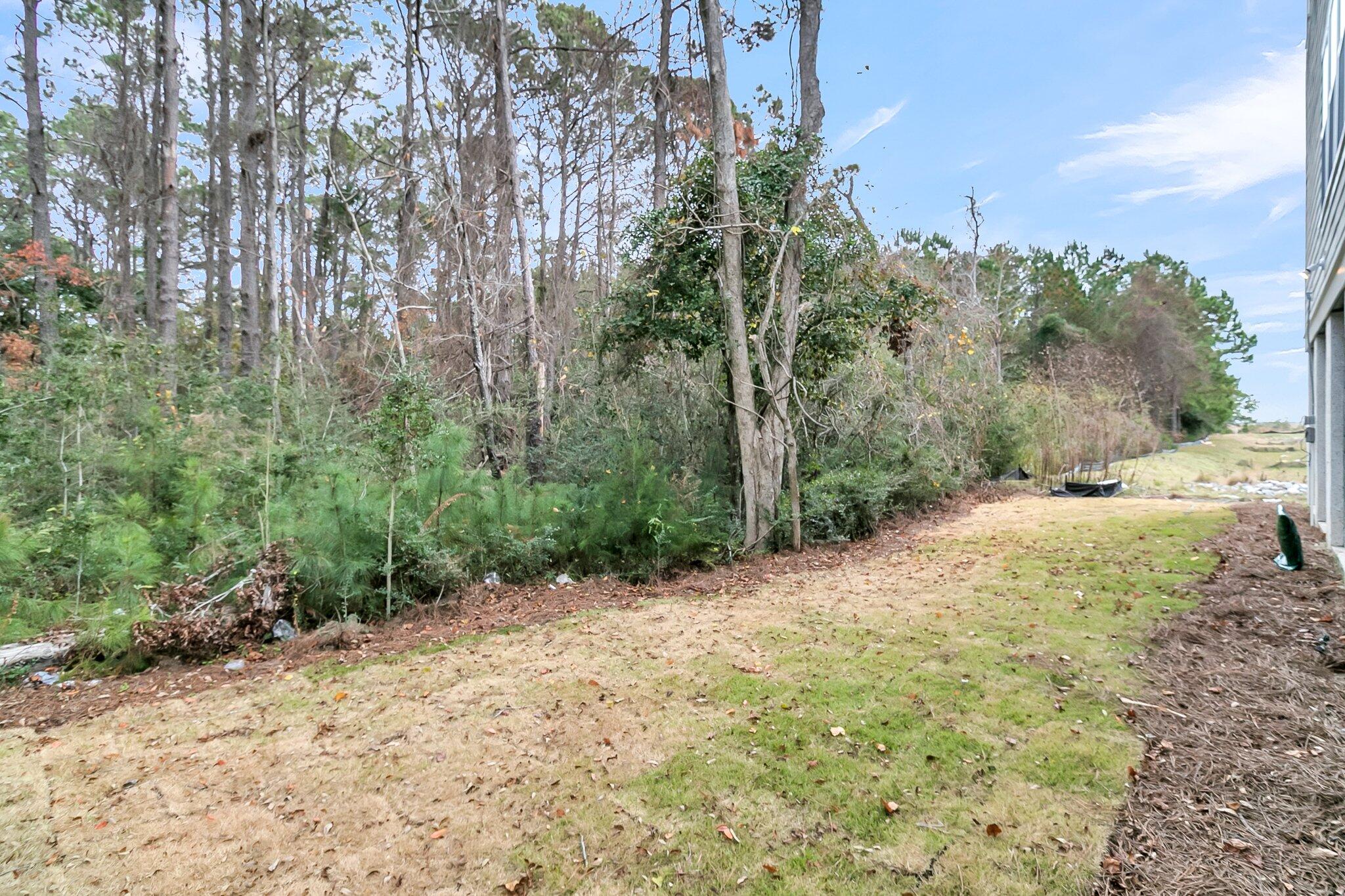 1078 Capersview Court Awendaw, SC 29429 - Photo 65 of 75 CHS_OverlookatCopaheeSound_Nelson_1078Ca