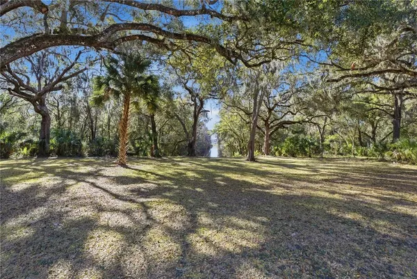 a view of a tree in front of a house