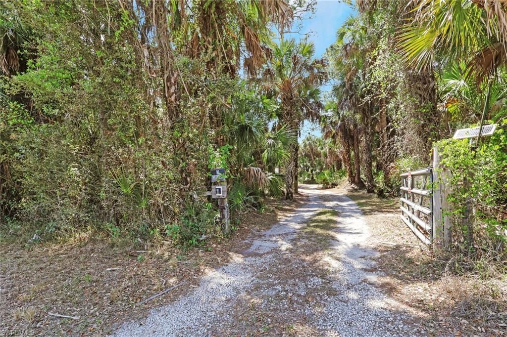 760 1st Street Northwest Naples, FL 34120 - Photo 24 of 36 a view of a forest with trees