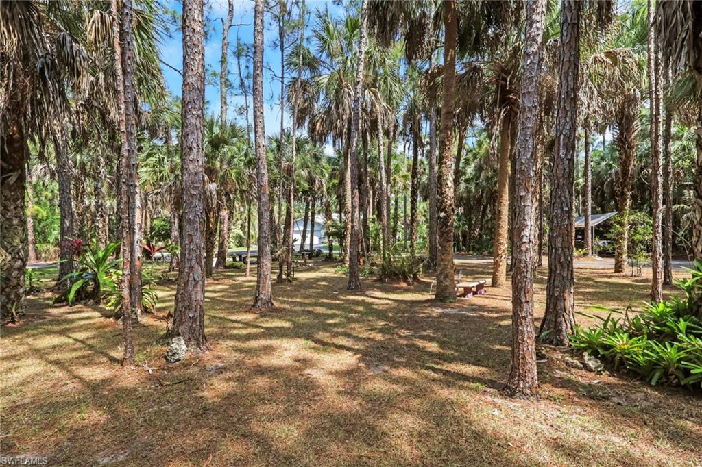 760 1st Street Northwest Naples, FL 34120 - Photo 29 of 36 a view of outdoor space with street view