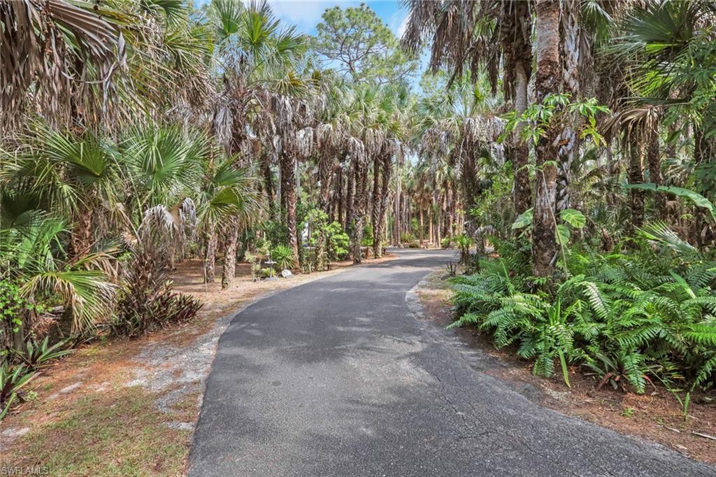 760 1st Street Northwest Naples, FL 34120 - Photo 31 of 36 Gated main entrance. Long asphalt circular driveway with tons of space to park multiple vehicles. Home is nicely set back and private! Second gated entry off of Wilson Blvd N! Fully Fenced!