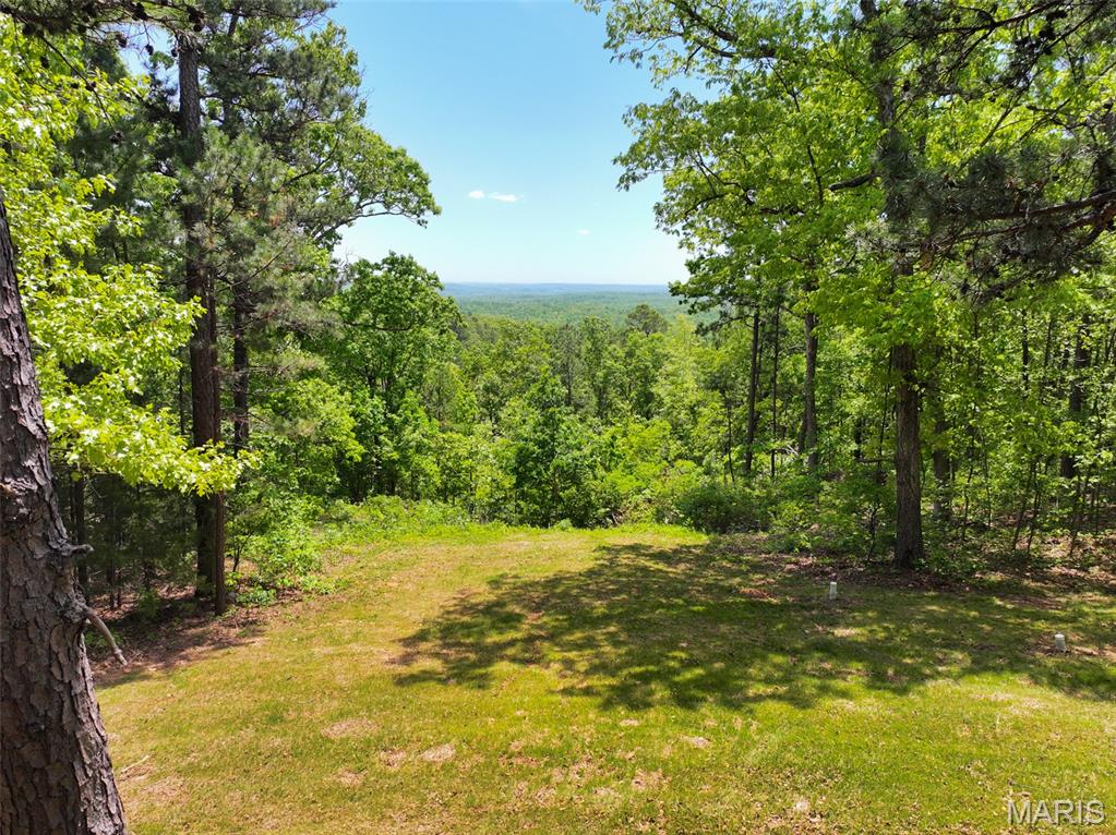 2-13102 Pelican Ridge Road Potosi, MO 63664 - Photo 21 of 55