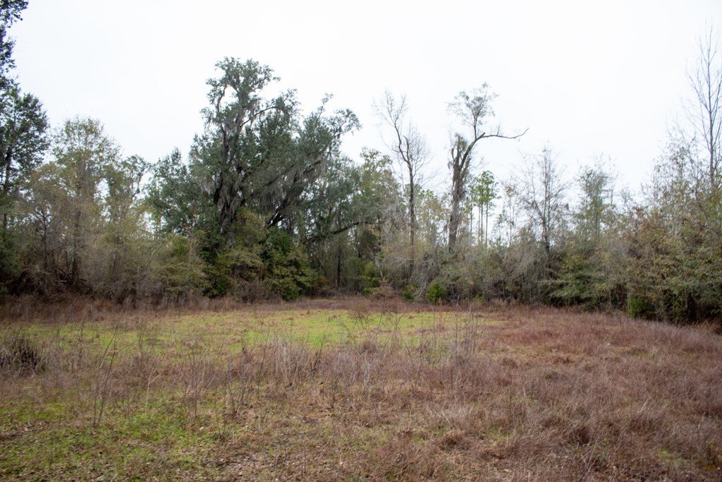 3 Pilgram Ch Road Gordon, AL 36343 - Photo 24 of 28 Gallery Image 24