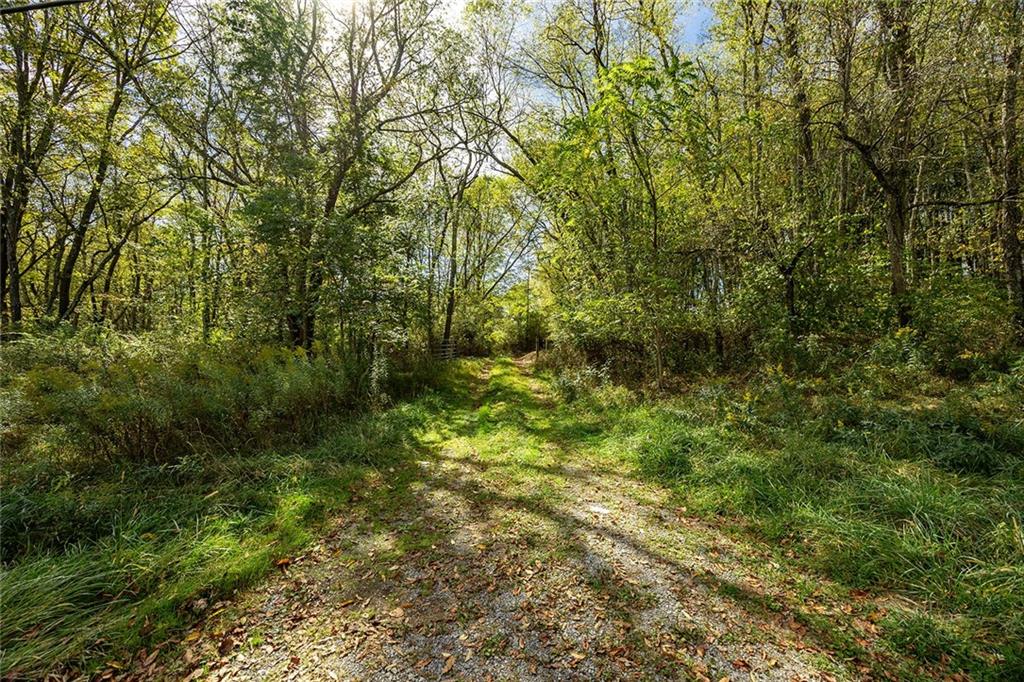1039 Perry Highway Mercer, PA 16137 - Photo 6 of 6 a view of a garden