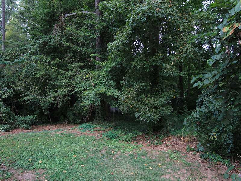 2427 Medway Drive Raleigh, NC 27608 - Photo 22 of 25 Photo 22