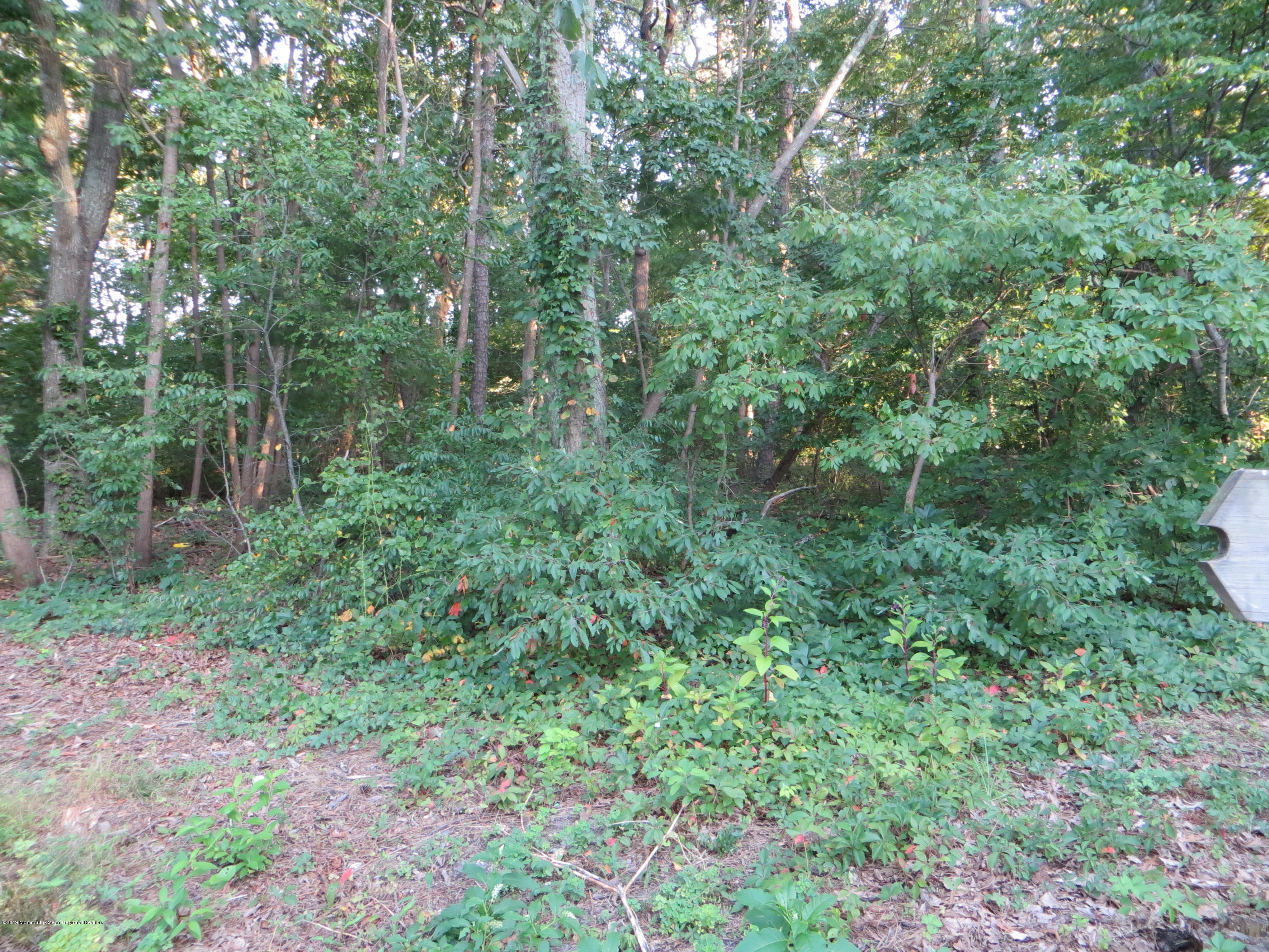 510 Hunters Road Brick, NJ 08724 - Photo 4 of 9 Evergreen Woods Park