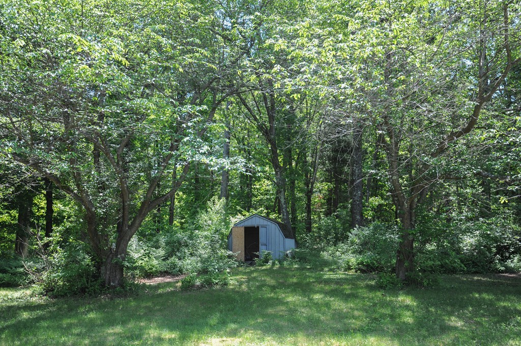 41 Chapel Road Amherst, MA 01002 - Photo 25 of 30 a view of a back yard