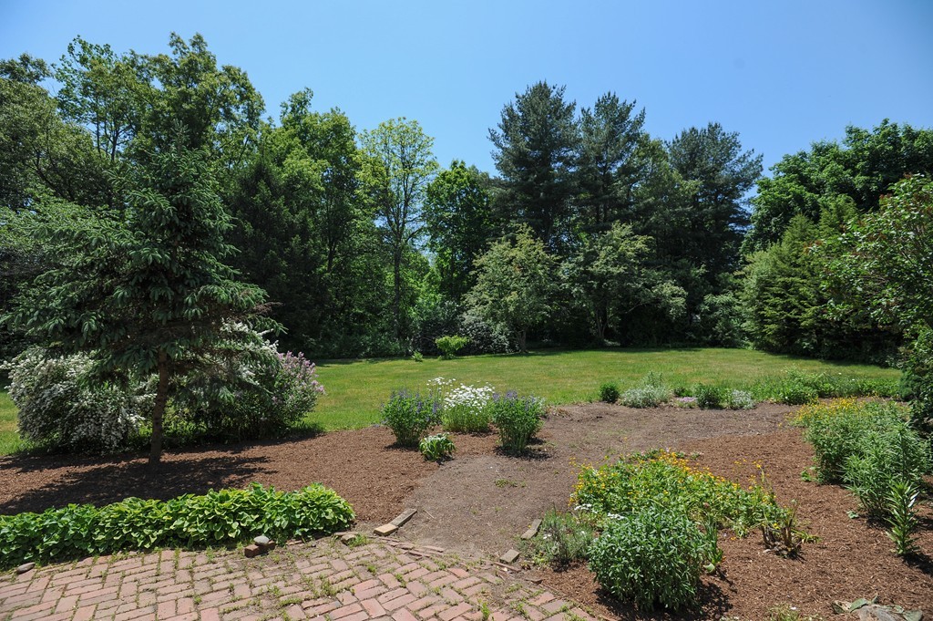 41 Chapel Road Amherst, MA 01002 - Photo 29 of 30 a view of a park with large trees