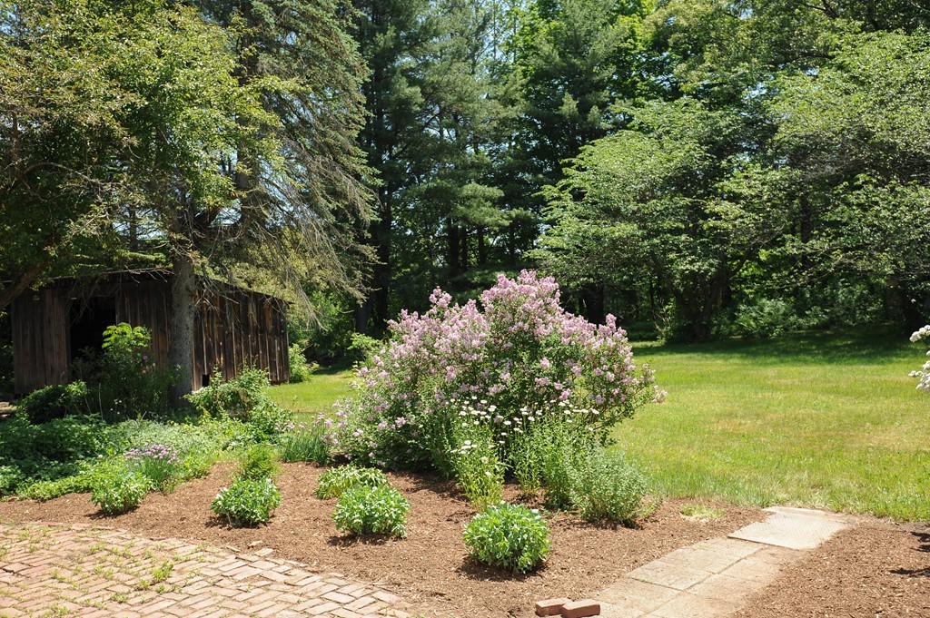 41 Chapel Road Amherst, MA 01002 - Photo 30 of 30 a view of a garden with large trees