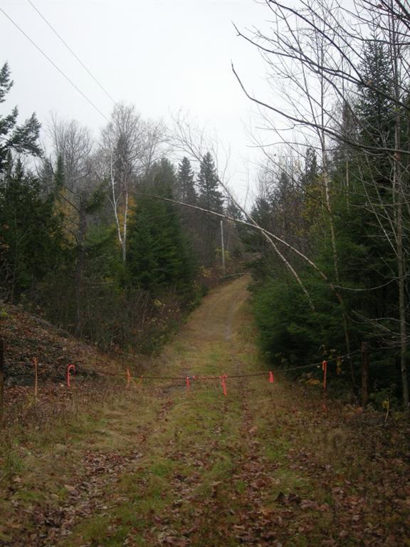 161 Hadley Mill Road Jackson, ME 04921 - Photo 5 of 35 Photo