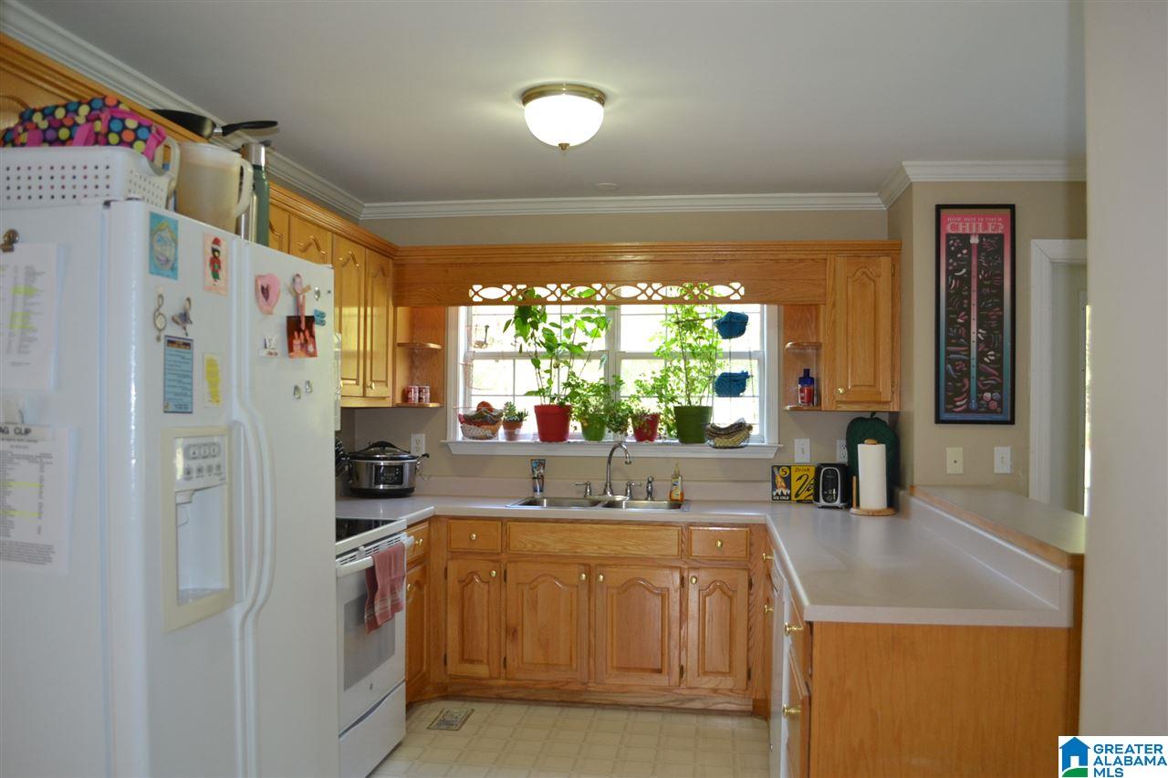 581 Fall Branch Road Remlap, AL 35133 - Photo 2 of 50 Gallery Image 2