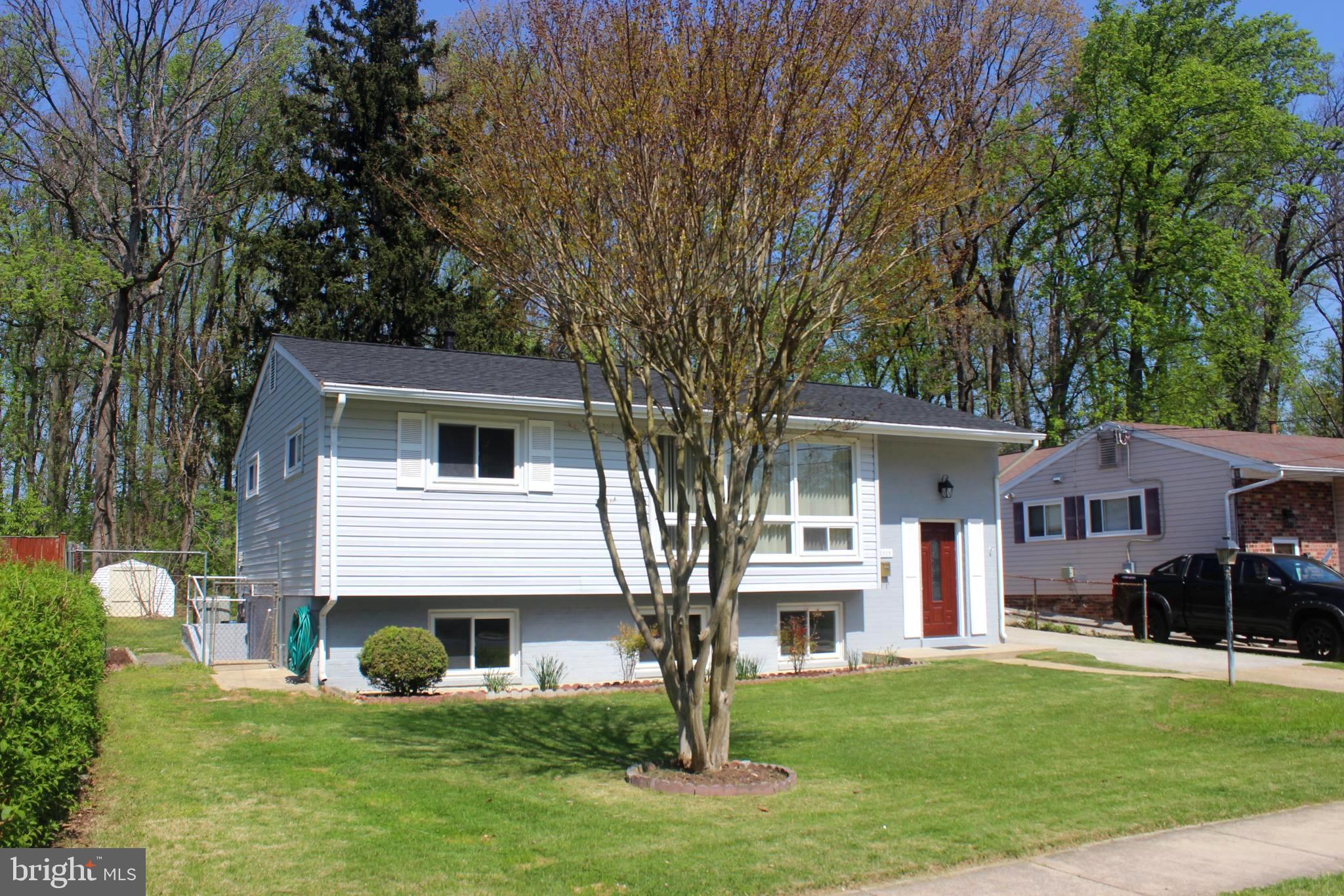 12808 Littleton Street Silver Spring, MD 20906 - Photo 4 of 35