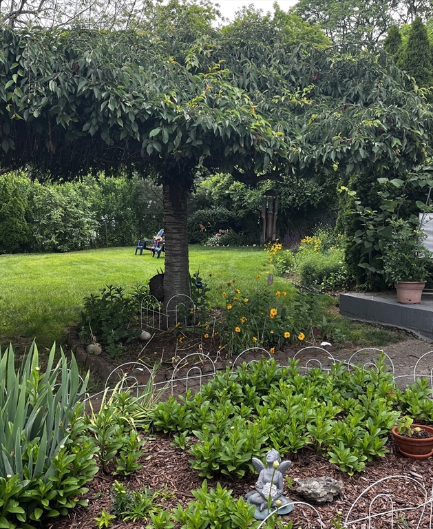 24 Valley Street Fall River, MA 02724 - Photo 21 of 24