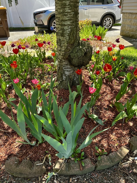 24 Valley Street Fall River, MA 02724 - Photo 23 of 24