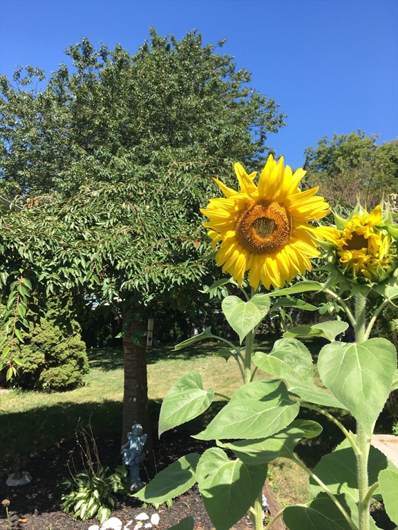 24 Valley Street Fall River, MA 02724 - Photo 24 of 24