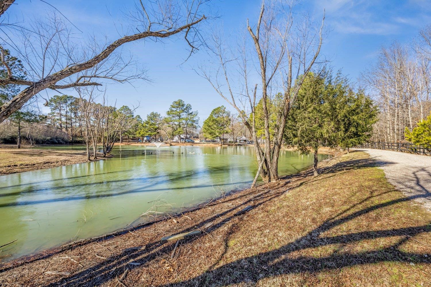 401 North Sanga Road Memphis, TN 38018 - Photo 5 of 27 Water view