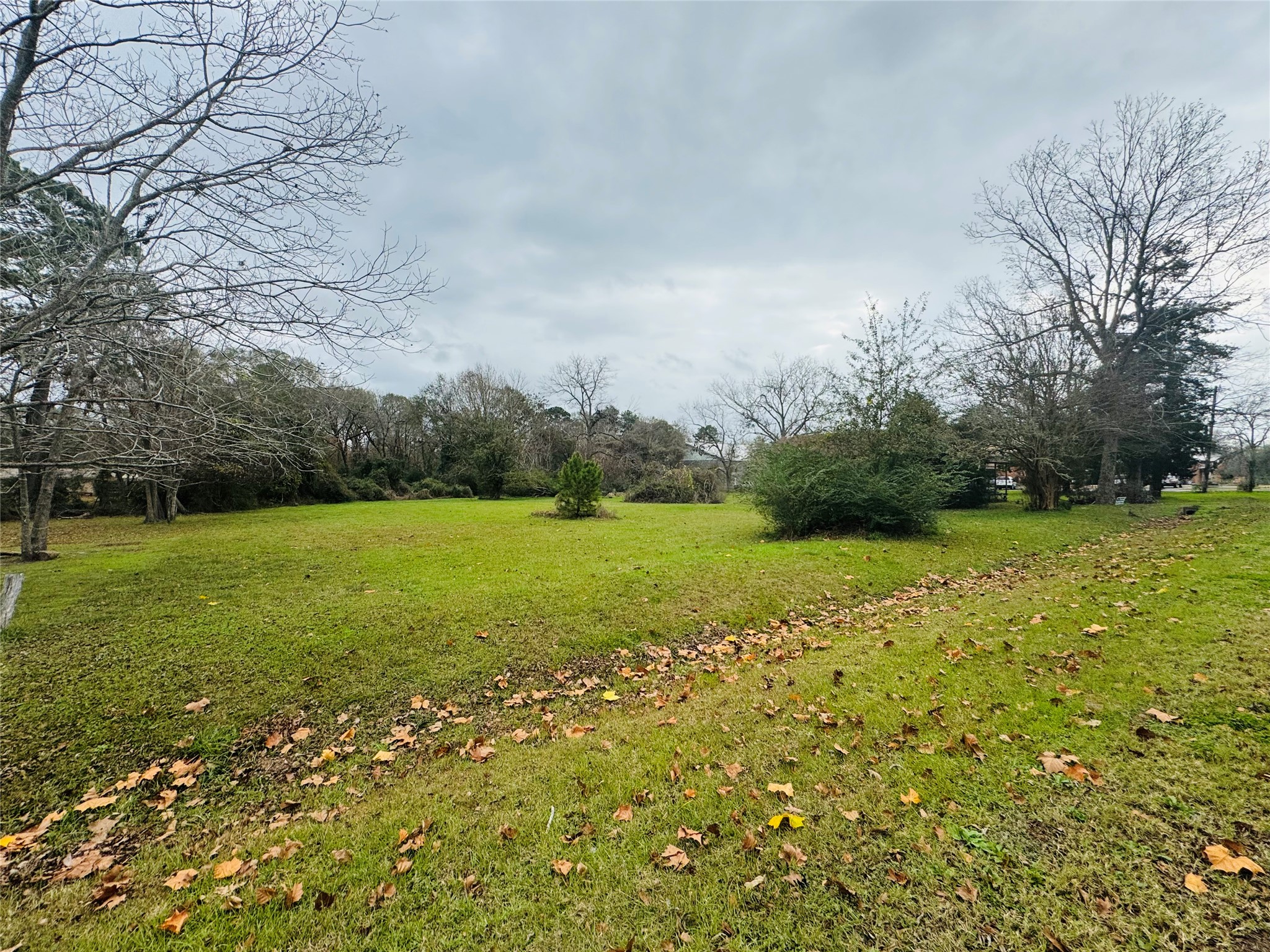 401 South Fm 356 Onalaska, TX 77360 - Photo 1 of 10
