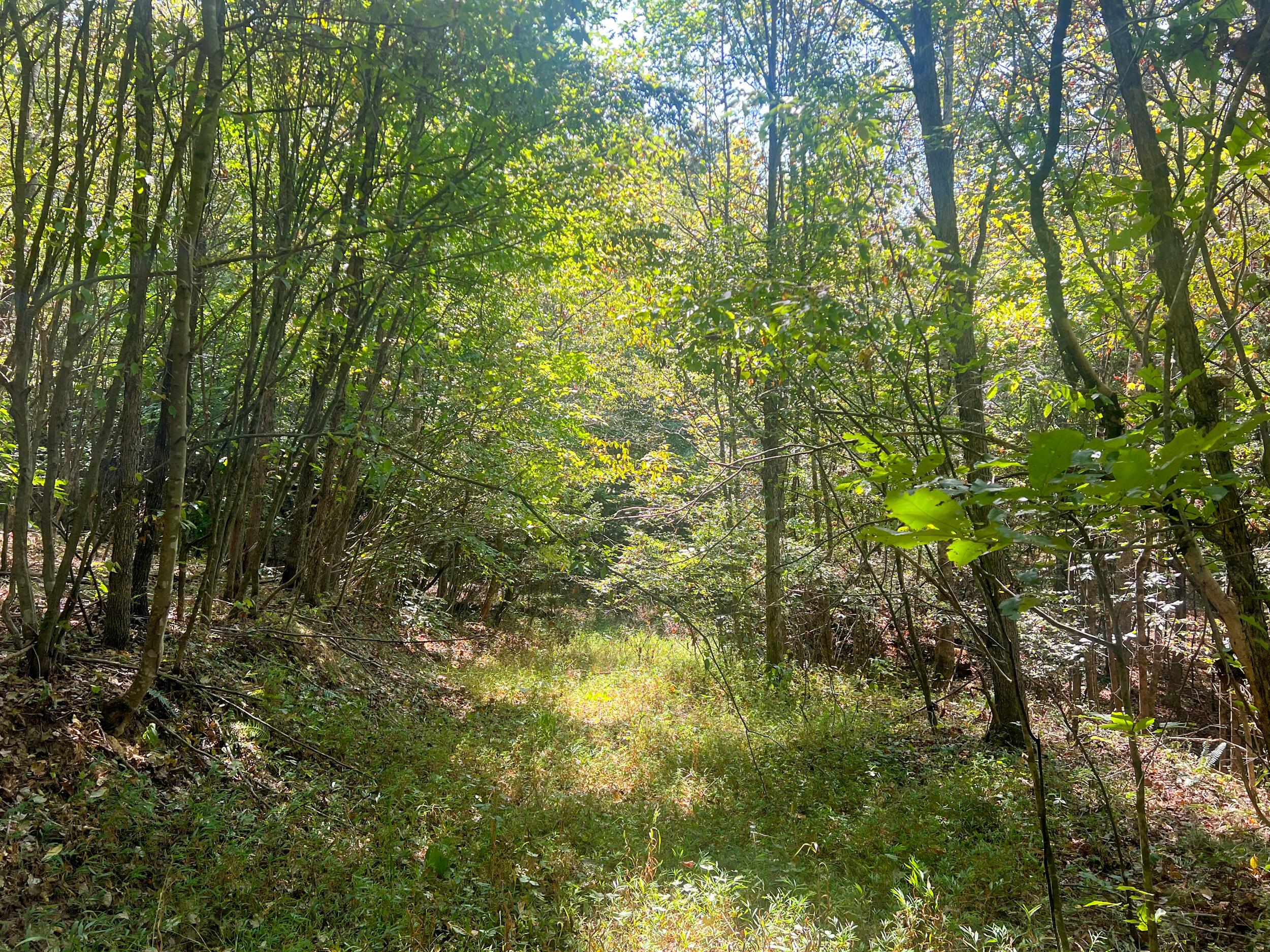 3 Mt Carmel Road Vinton, OH 45686 - Photo 11 of 14 IMG_7865