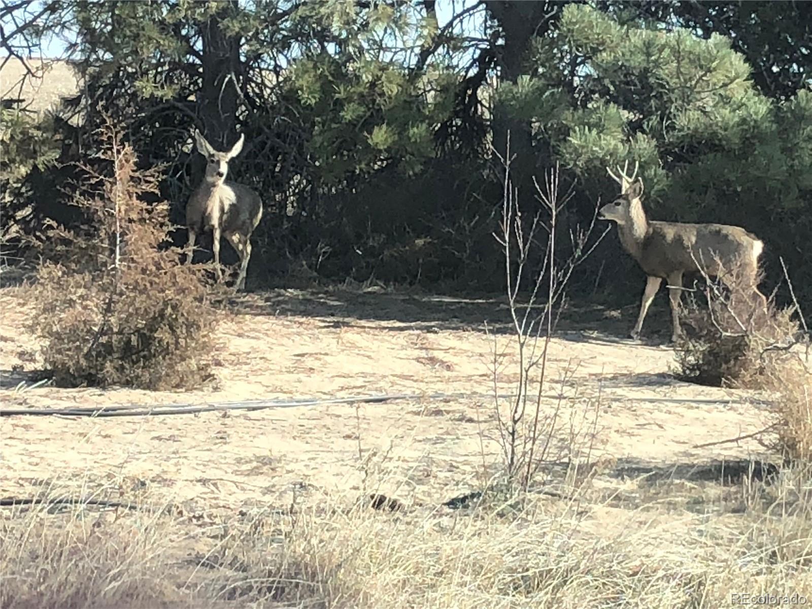 39592 County Road 18 Roggen, CO 80652 - Photo 33 of 34 a view of water view with a backyard of the house