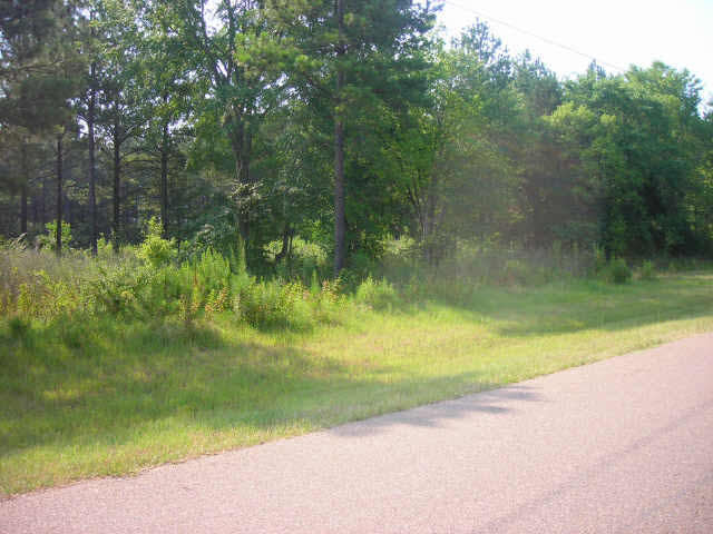 0 Old Orchard Road, Unit LOT 76 Madison, MS 39110 - Photo 1 of 1 Photo 1