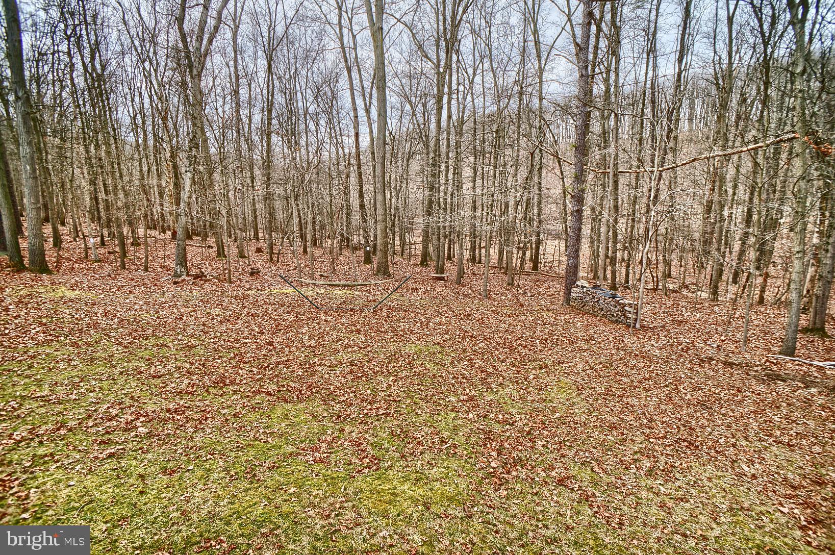 652 Spring Lane Boiling Springs, PA 17007 - Photo 36 of 37 Gallery Image 36