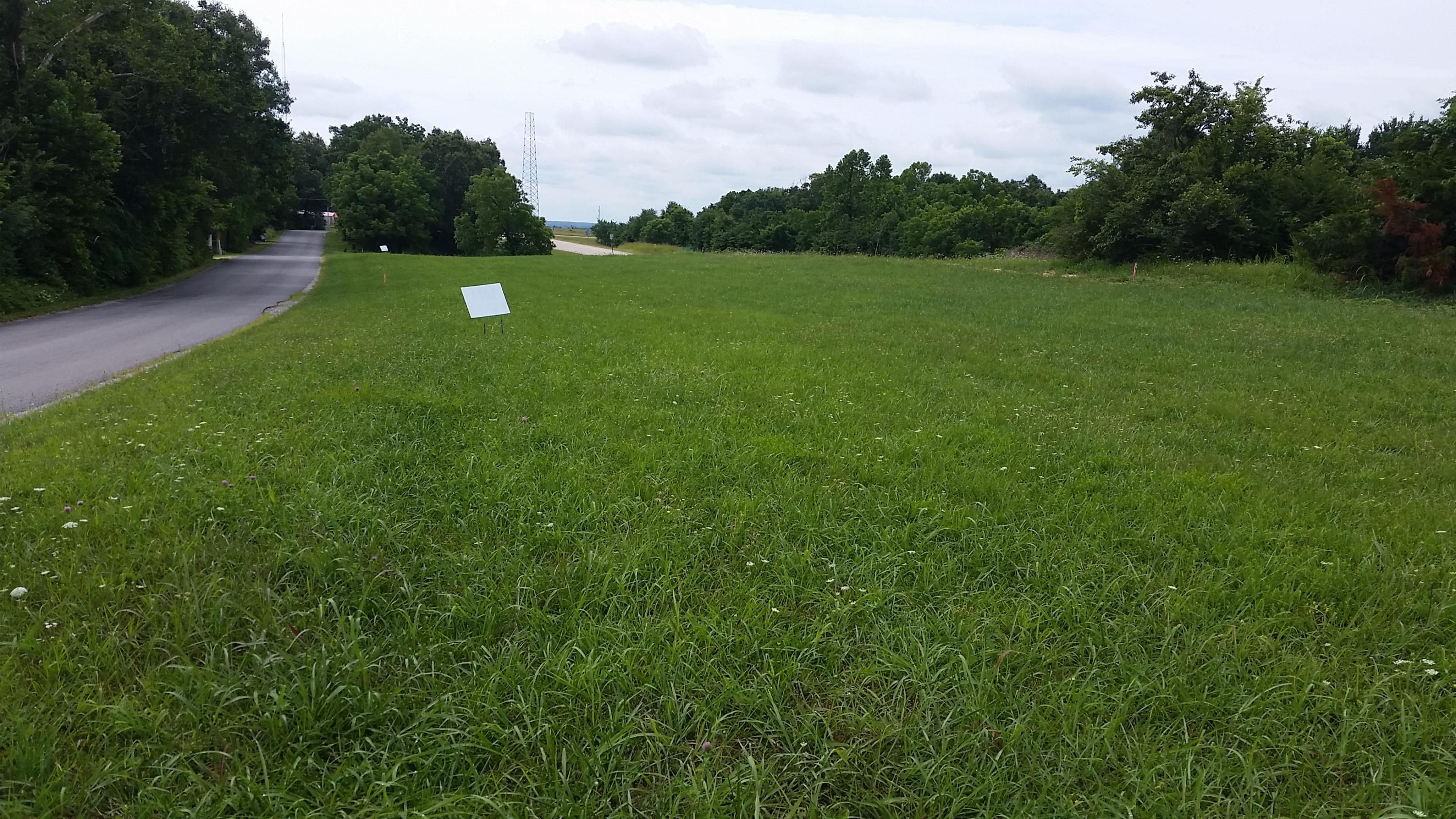 Lot 2 Pleasant Ridge Road Anderson, MO 64831 - Photo 1 of 1 Johnson land pic- 2,3,4 lots- pasture