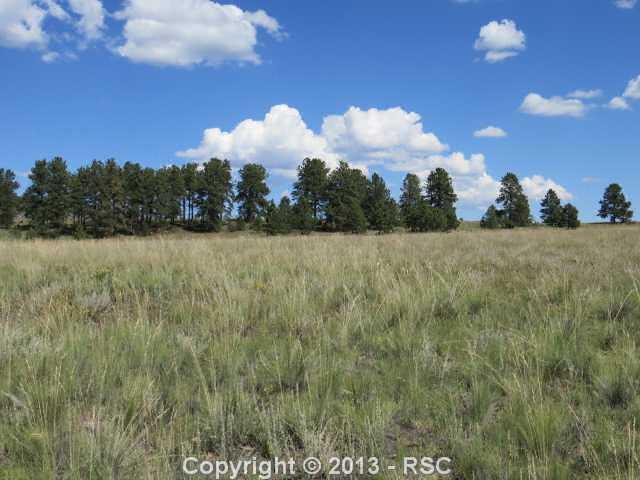 86 Doe Valley Road Guffey, CO 80820 - Photo 12 of 25 View from back of lot towards trees