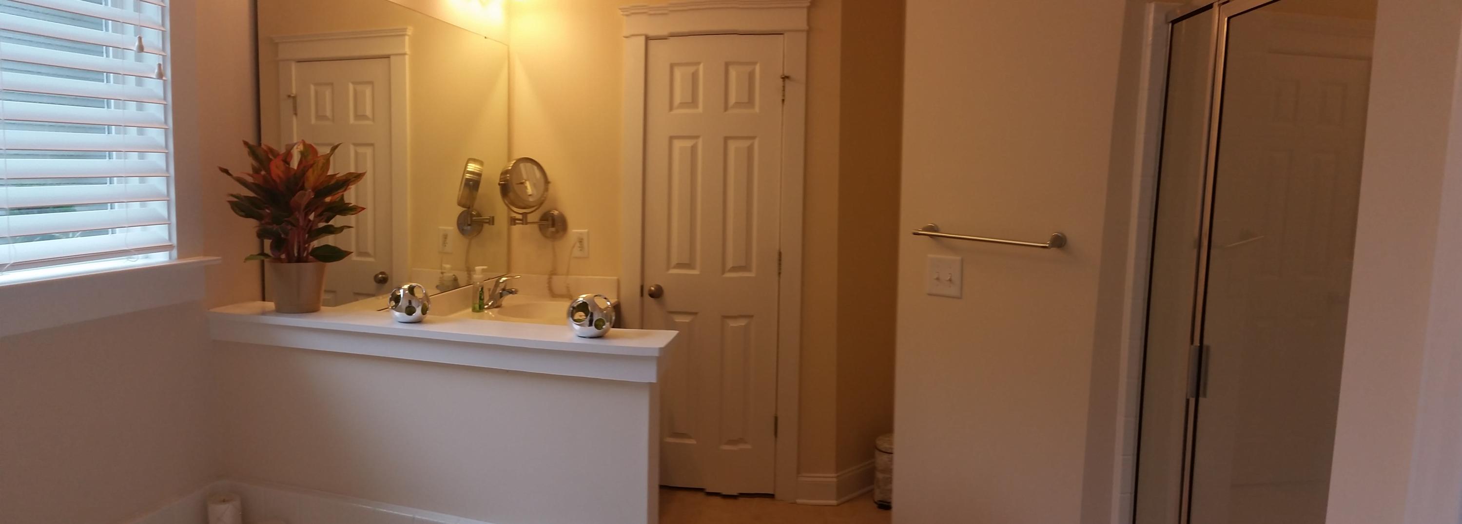 1639 Bee Balm Road Johns Island, SC 29455 - Photo 12 of 16 Master Bath
