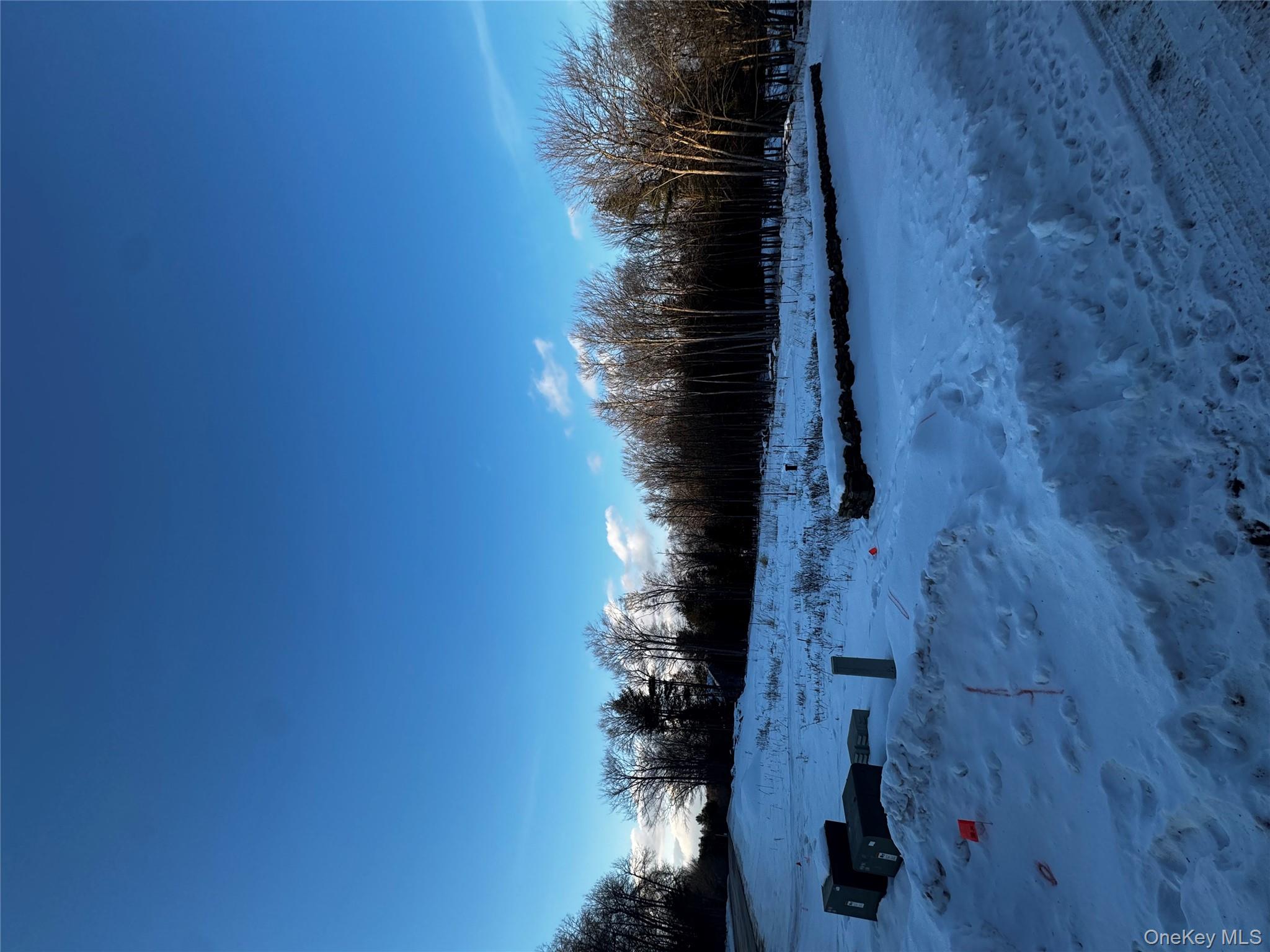 a view of outdoor space with garden view