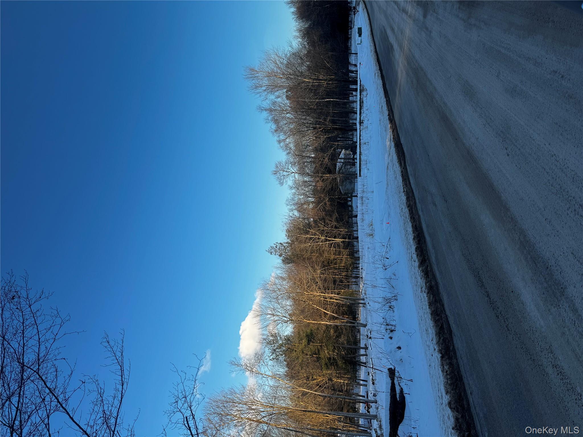 0 Drake Road Neversink, NY 12765 - Photo 2 of 11 a view of dirt yard