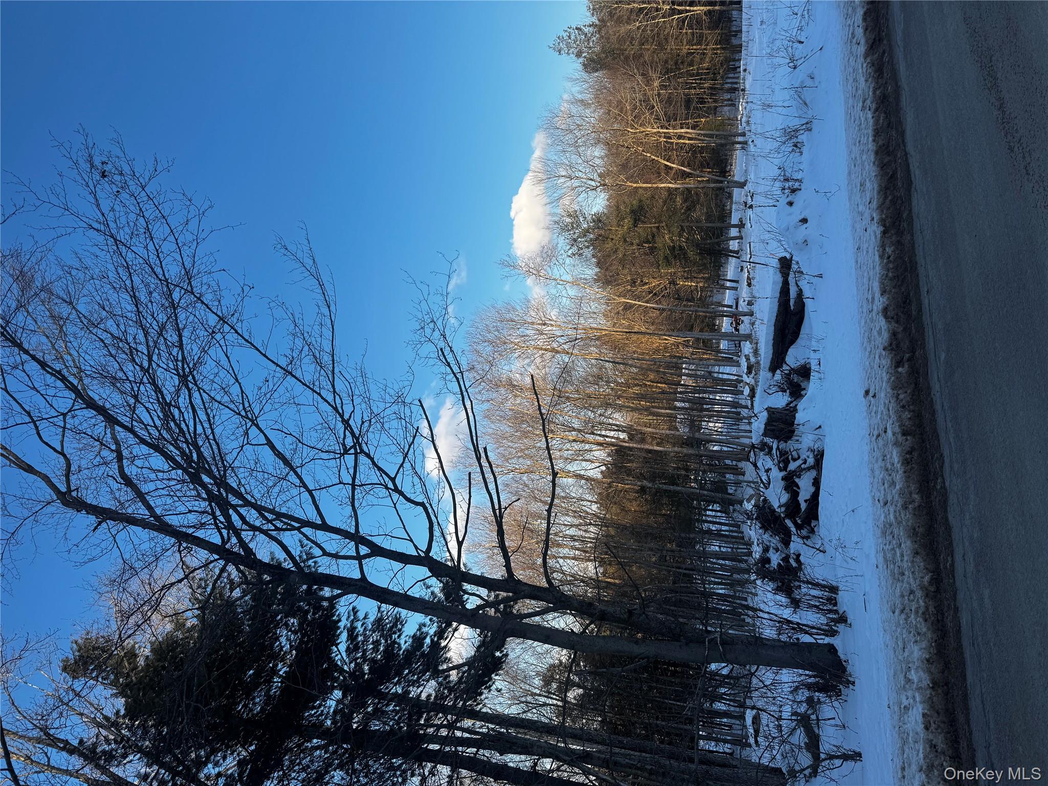 0 Drake Road Neversink, NY 12765 - Photo 3 of 11 a view of outdoor space and yard