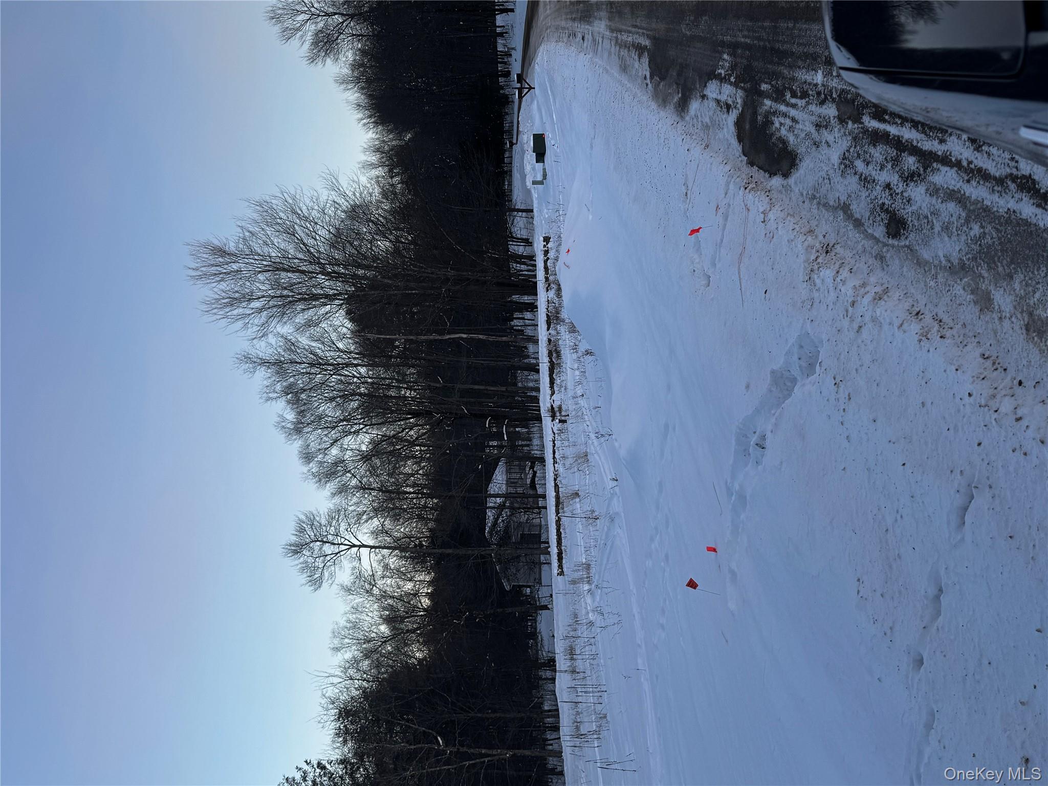 0 Drake Road Neversink, NY 12765 - Photo 4 of 11 a view of outdoor space