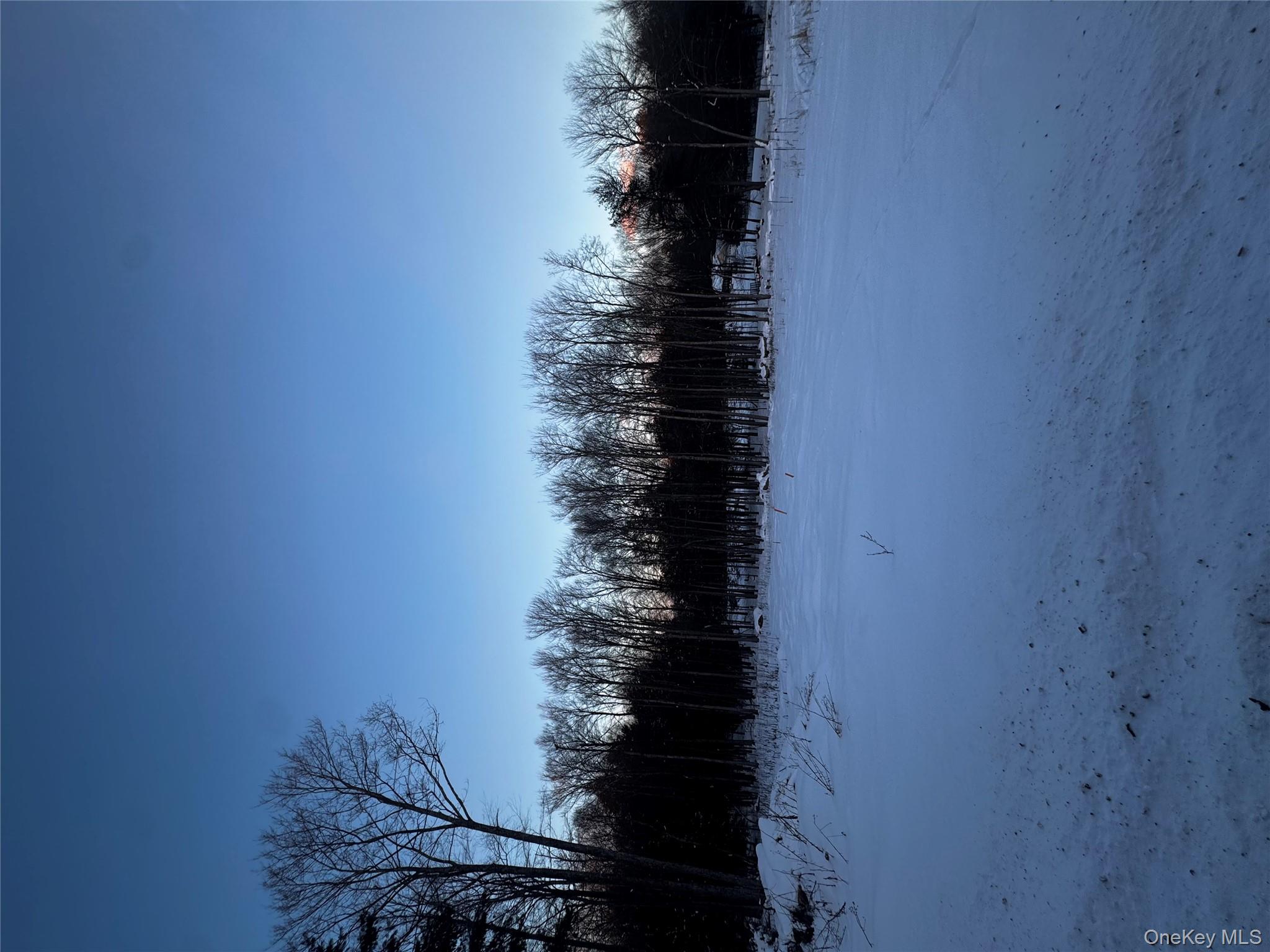 0 Drake Road Neversink, NY 12765 - Photo 5 of 11 a view of patio and fire pit