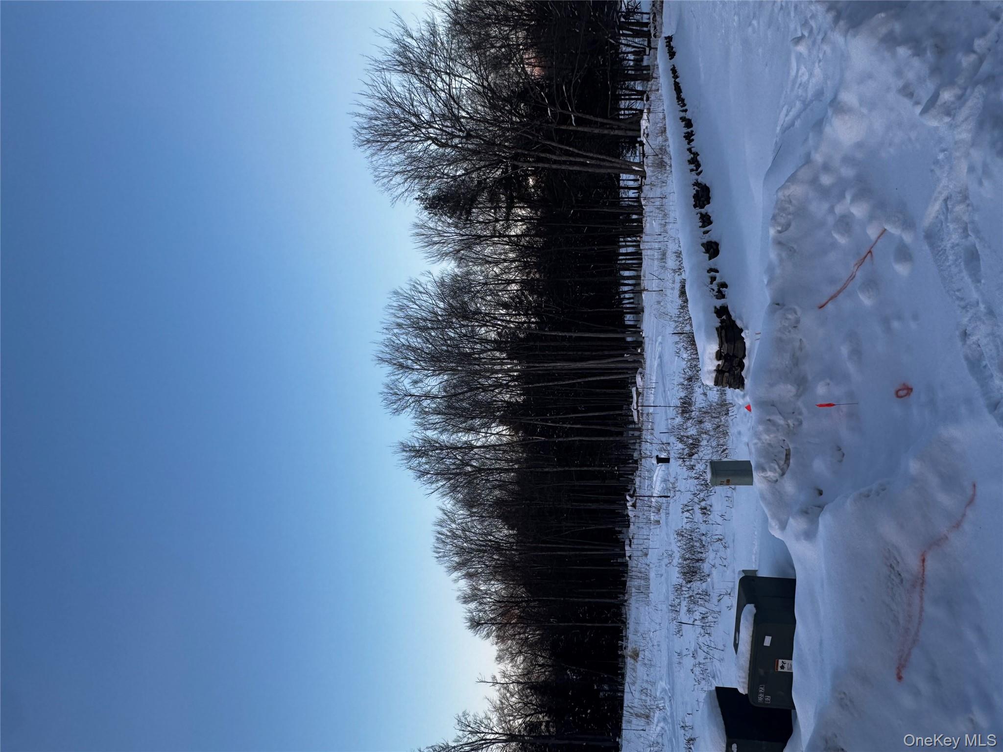 0 Drake Road Neversink, NY 12765 - Photo 7 of 11 a view of outdoor space with fire pit
