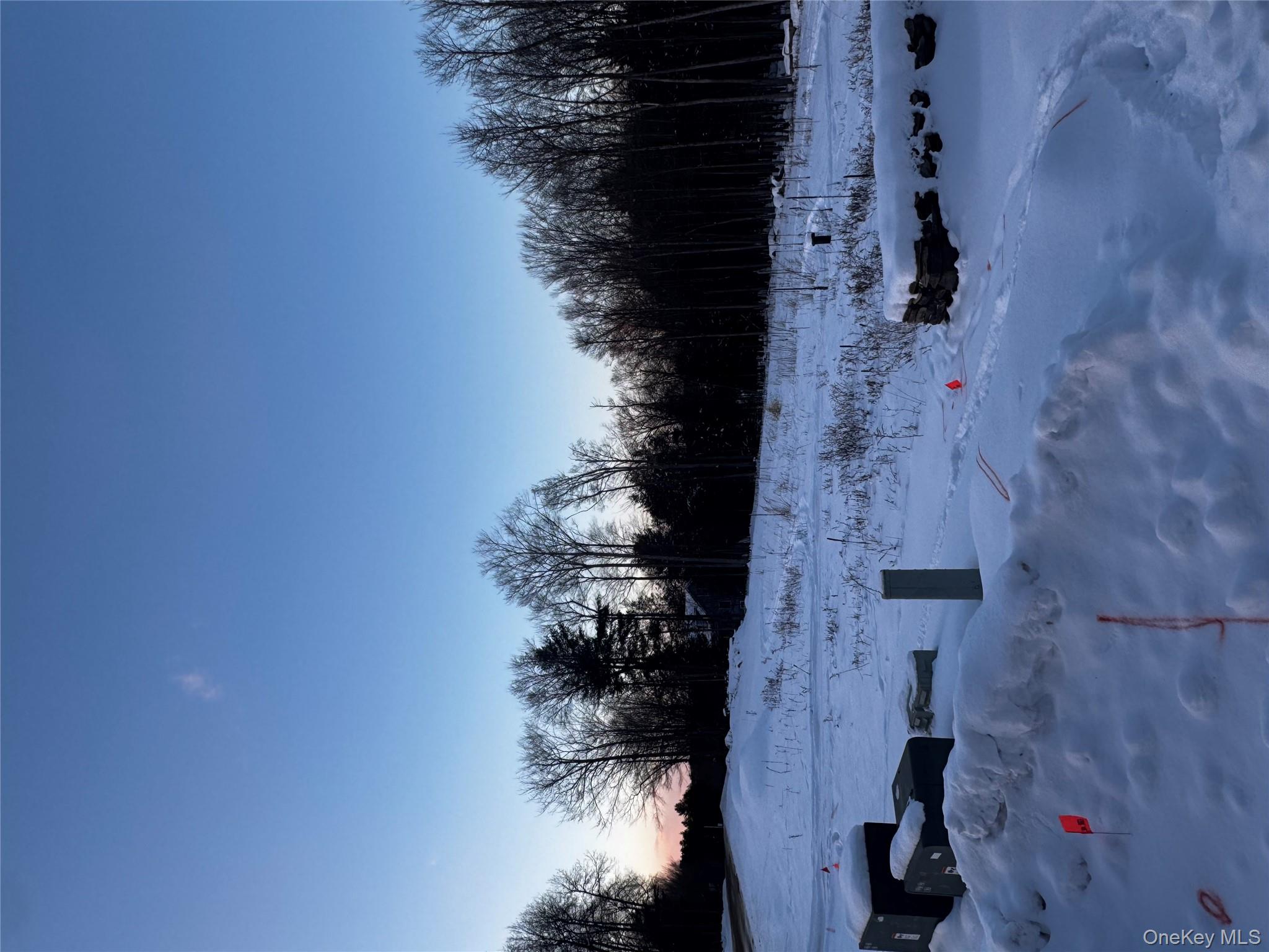 0 Drake Road Neversink, NY 12765 - Photo 8 of 11 a view of swimming pool with a yard