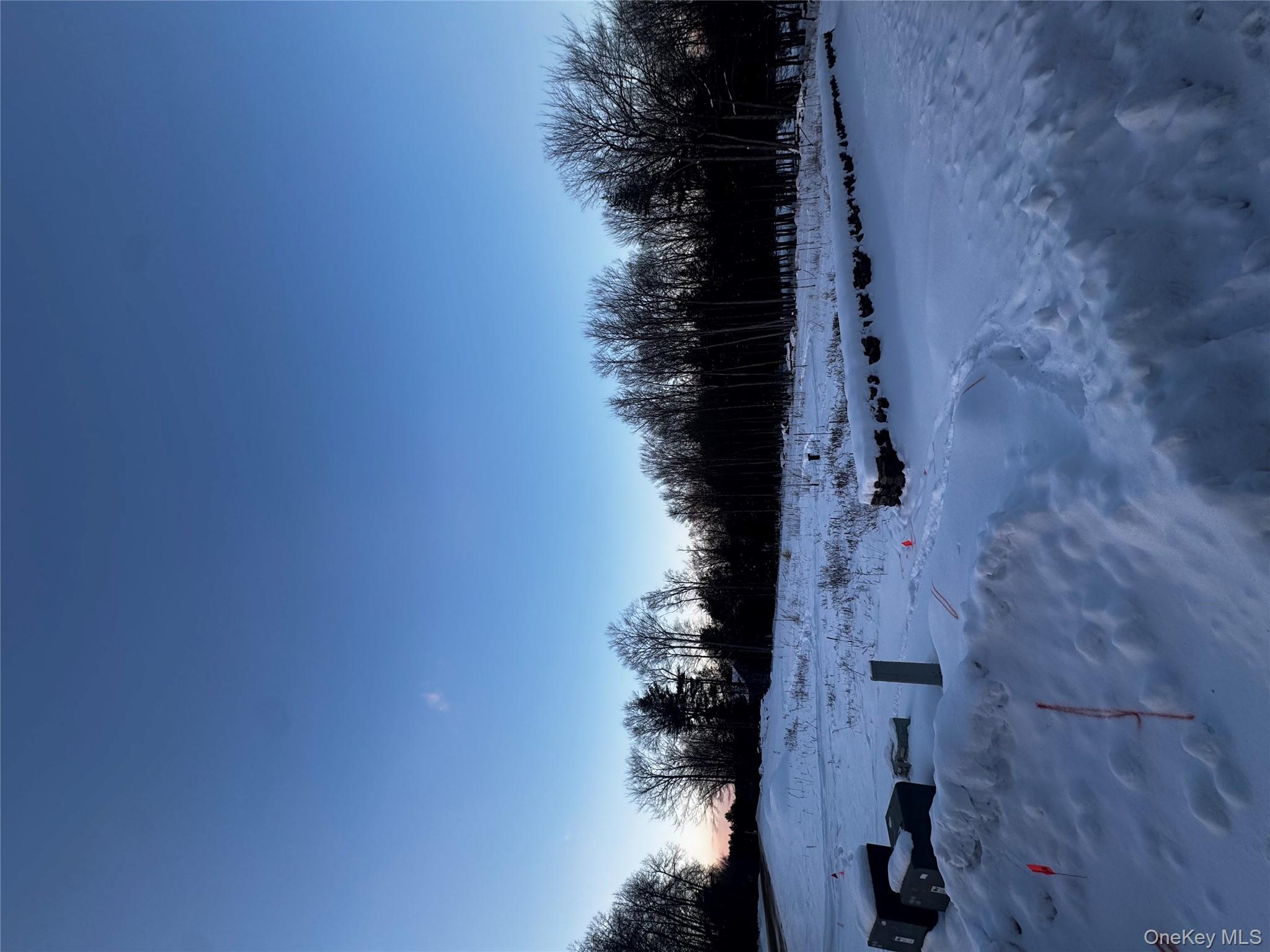 0 Drake Road Neversink, NY 12765 - Photo 9 of 11 a view of a dry yard with wooden fence