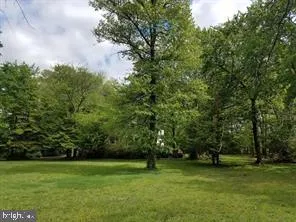 a big yard with lots of green space and trees