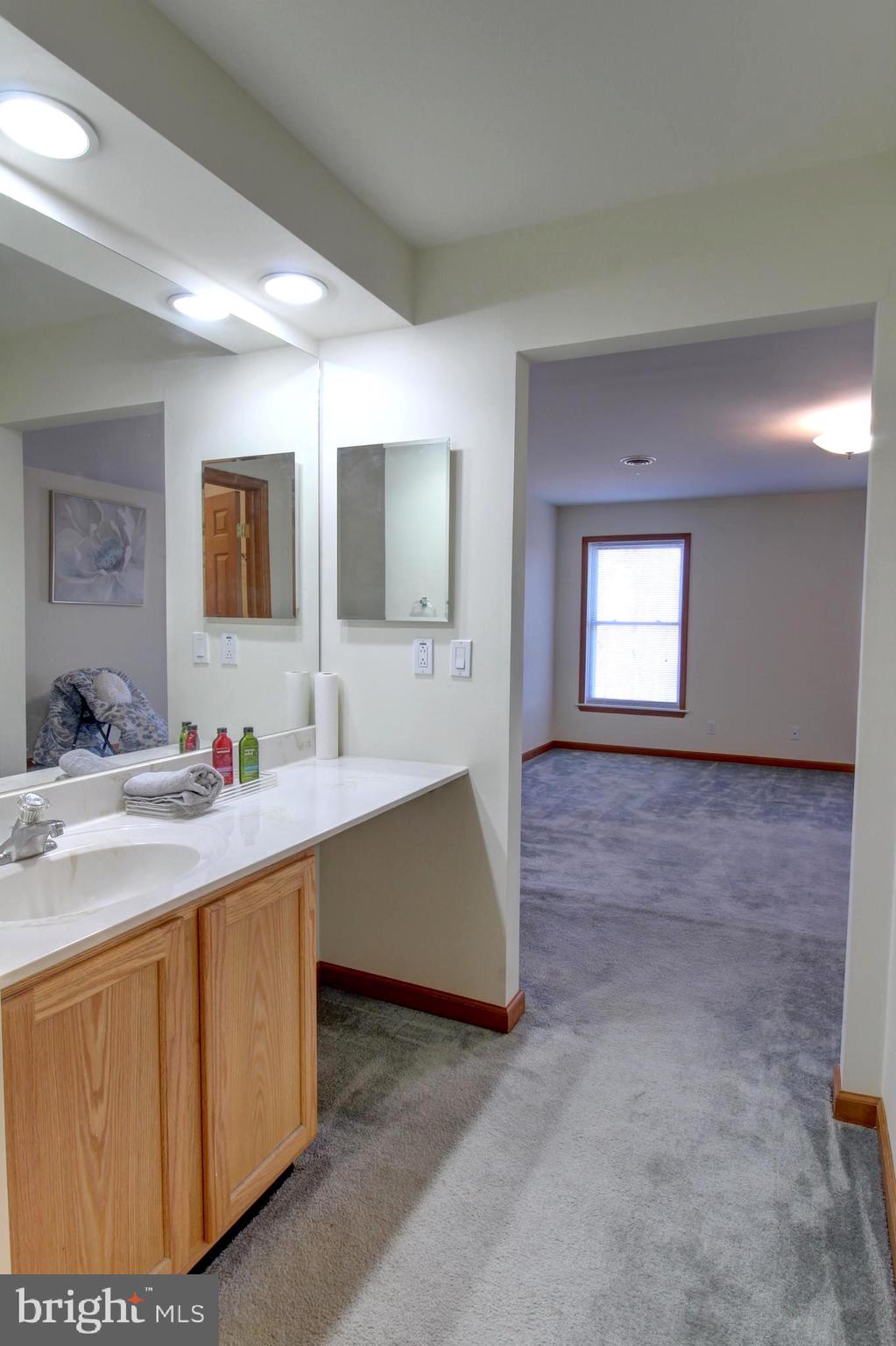 745 Fire Trail Road Front Royal, VA 22630 - Photo 31 of 58 a bathroom with a sink and a mirror