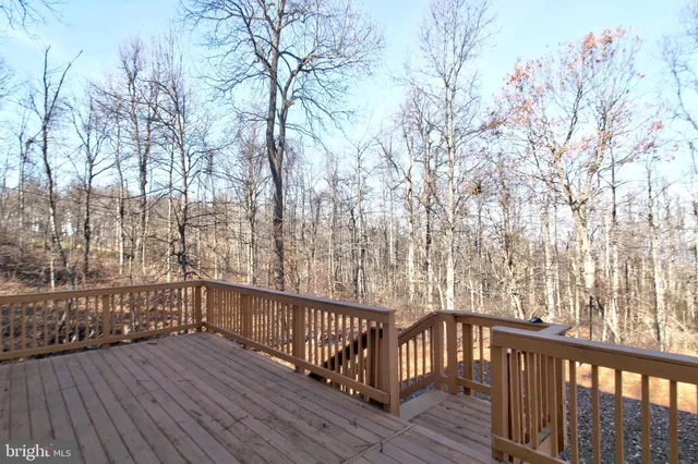 a view of backyard with large trees and wooden fence