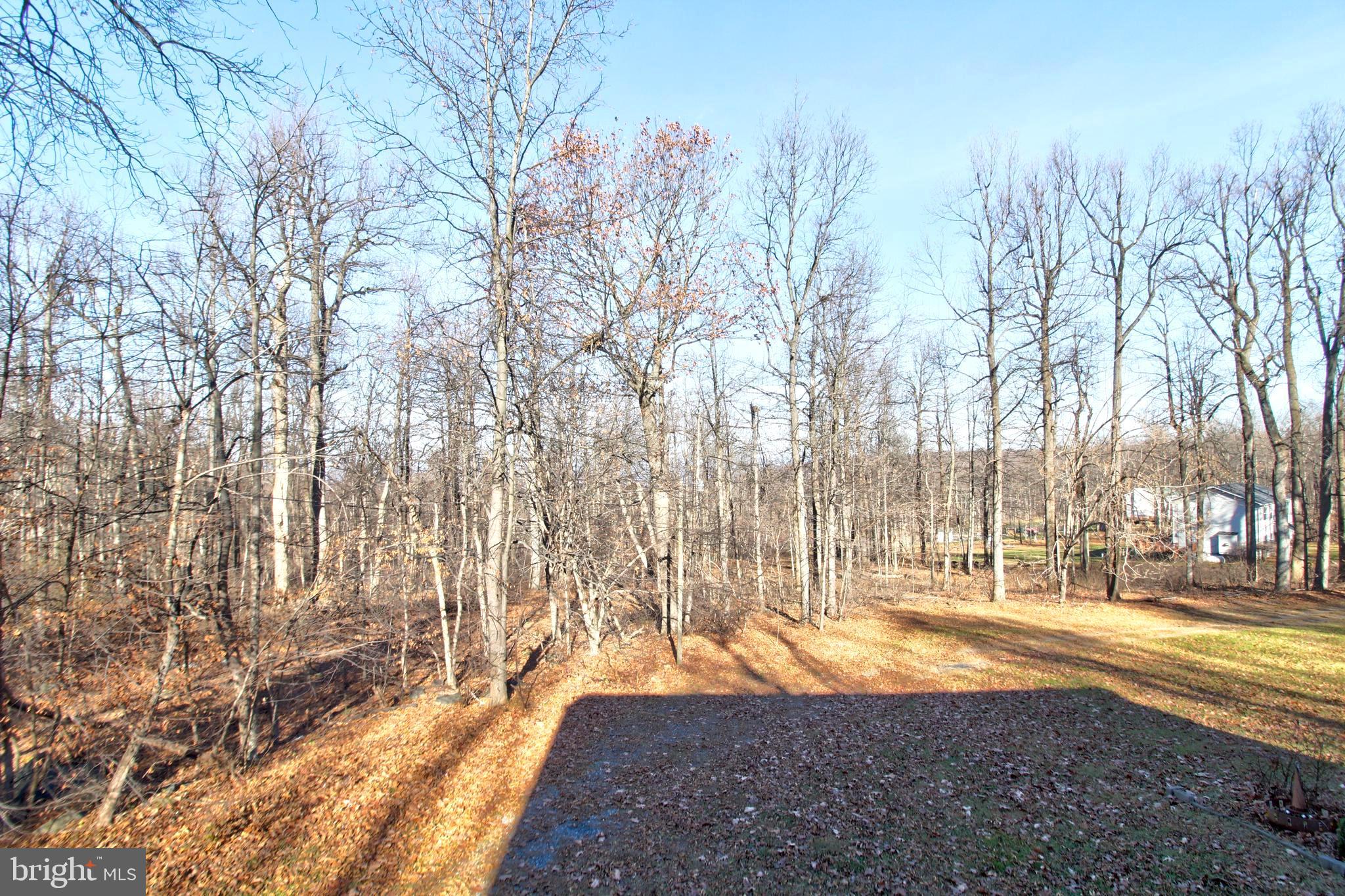 745 Fire Trail Road Front Royal, VA 22630 - Photo 57 of 58 a view of yard with tree in the background