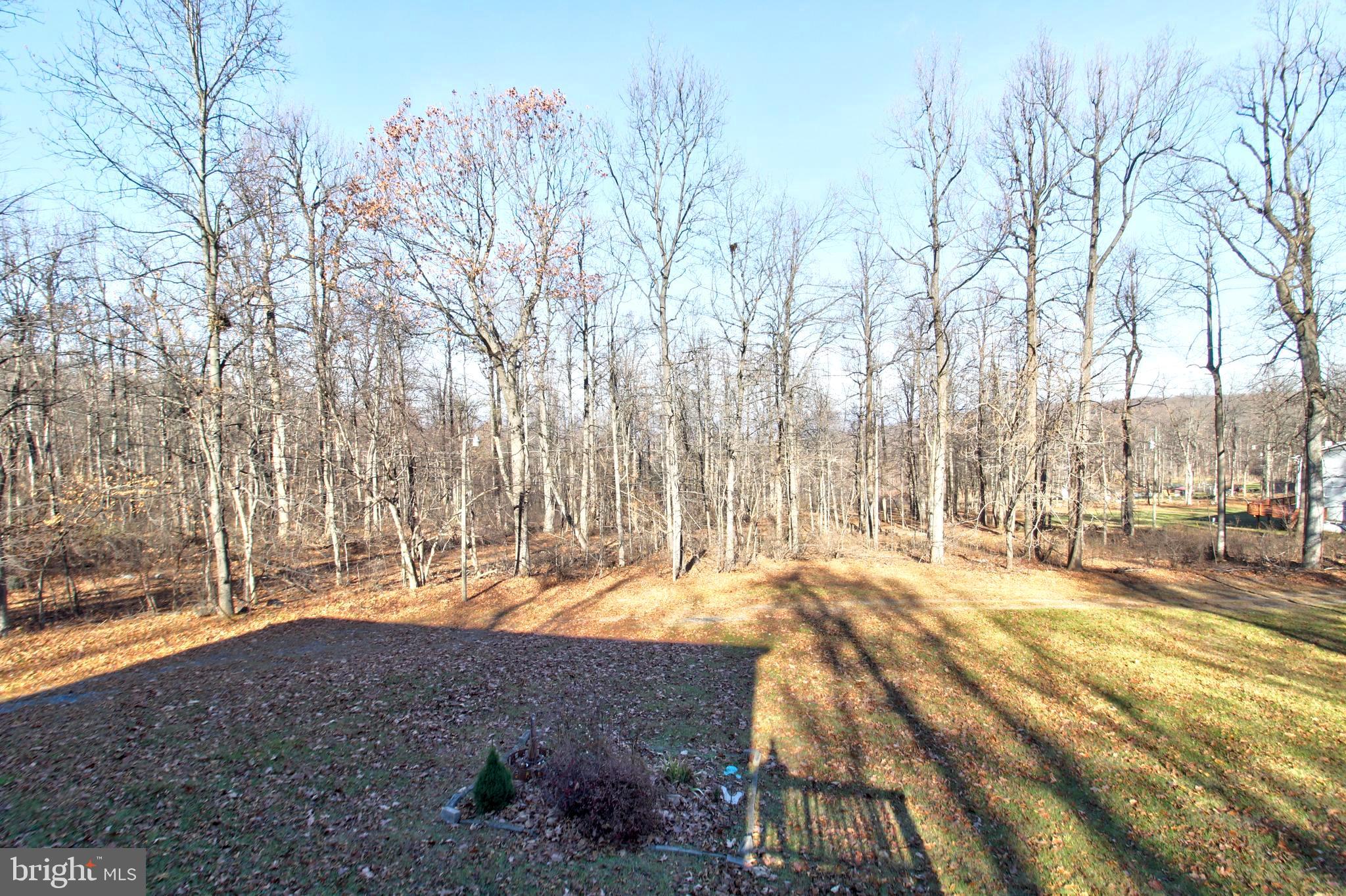 745 Fire Trail Road Front Royal, VA 22630 - Photo 58 of 58 Seclusion and Unspoiled Natural Beauty