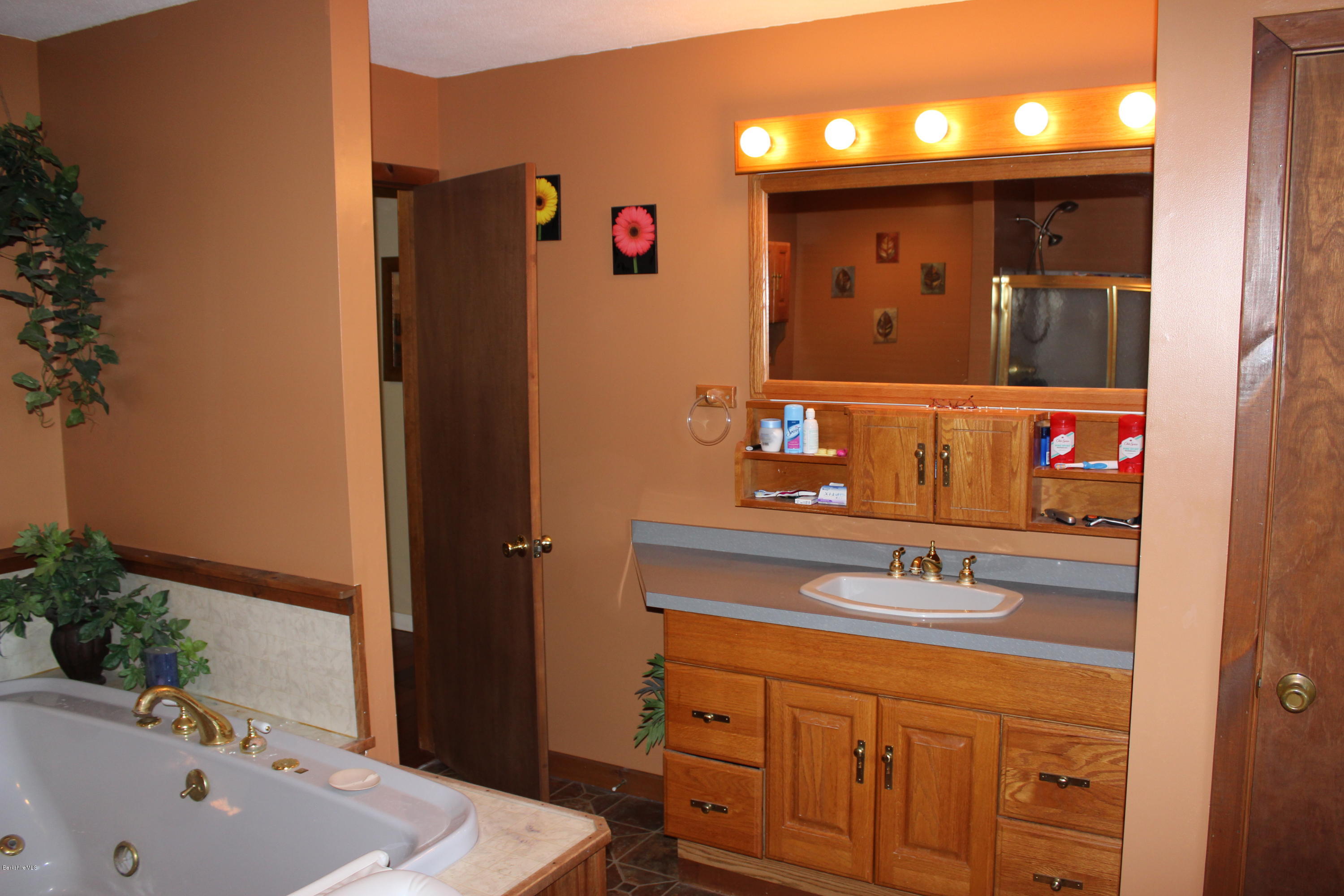 66 Lyon Hill Road Chester, MA 01011 - Photo 20 of 47 full bath