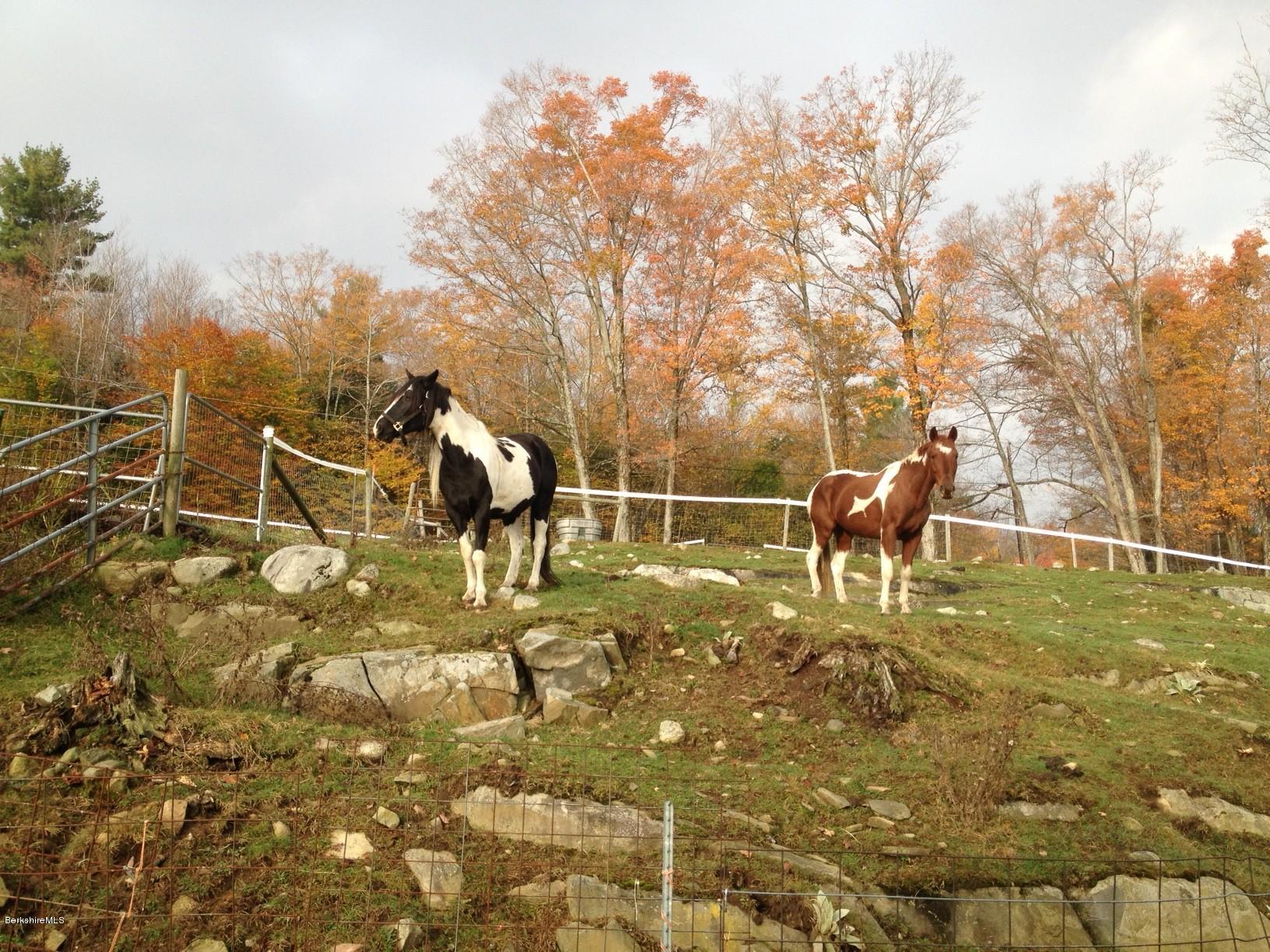 66 Lyon Hill Road Chester, MA 01011 - Photo 31 of 47 fenced pasture