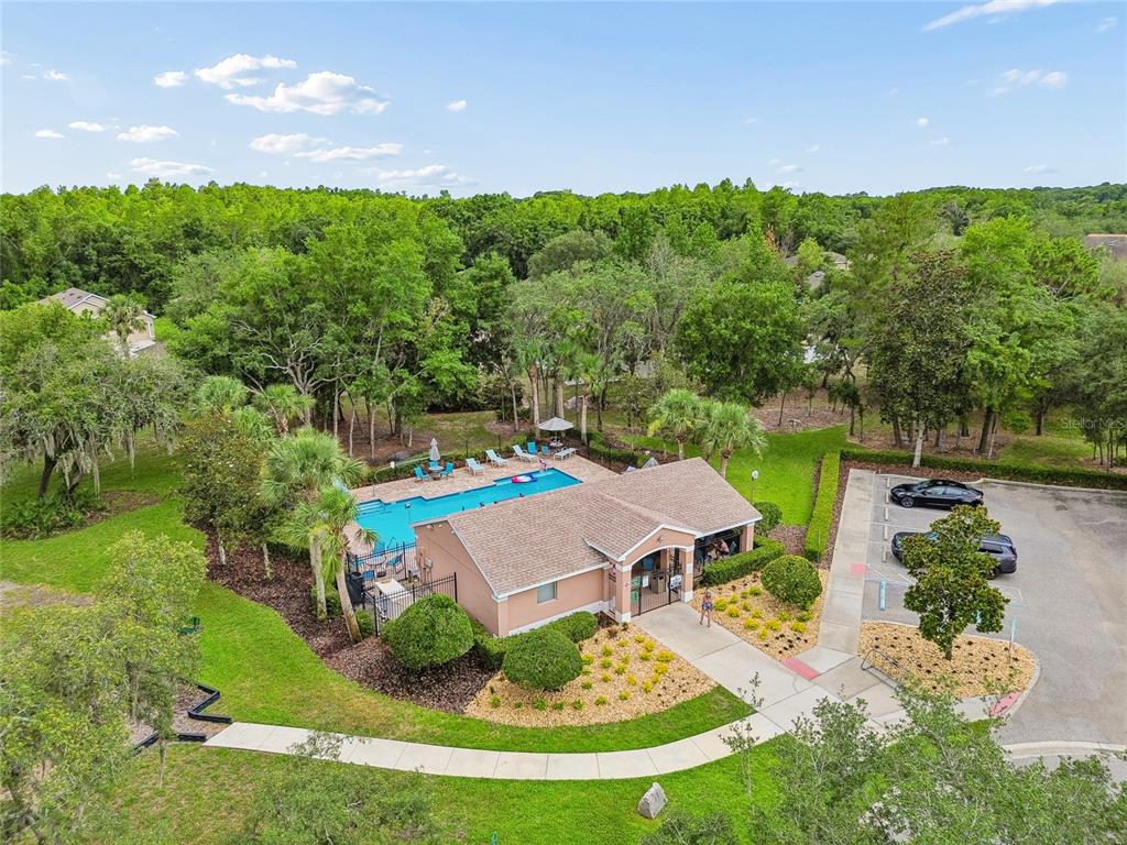 12155 Infinity Drive New Port Richey, FL 34654 - Photo 66 of 75