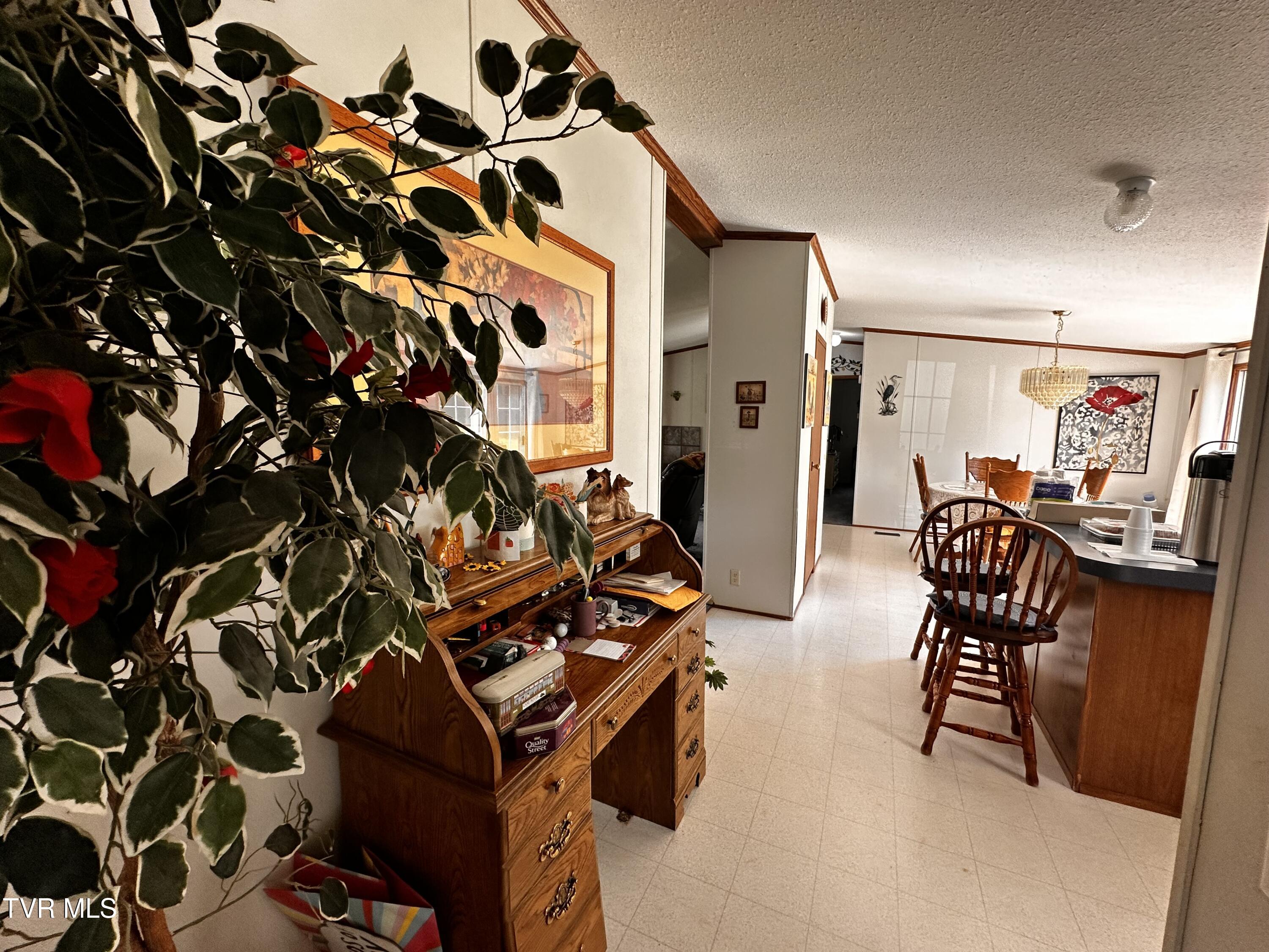 3289 Long Creek Road Parrottsville, TN 37843 - Photo 23 of 36 IMG_2956