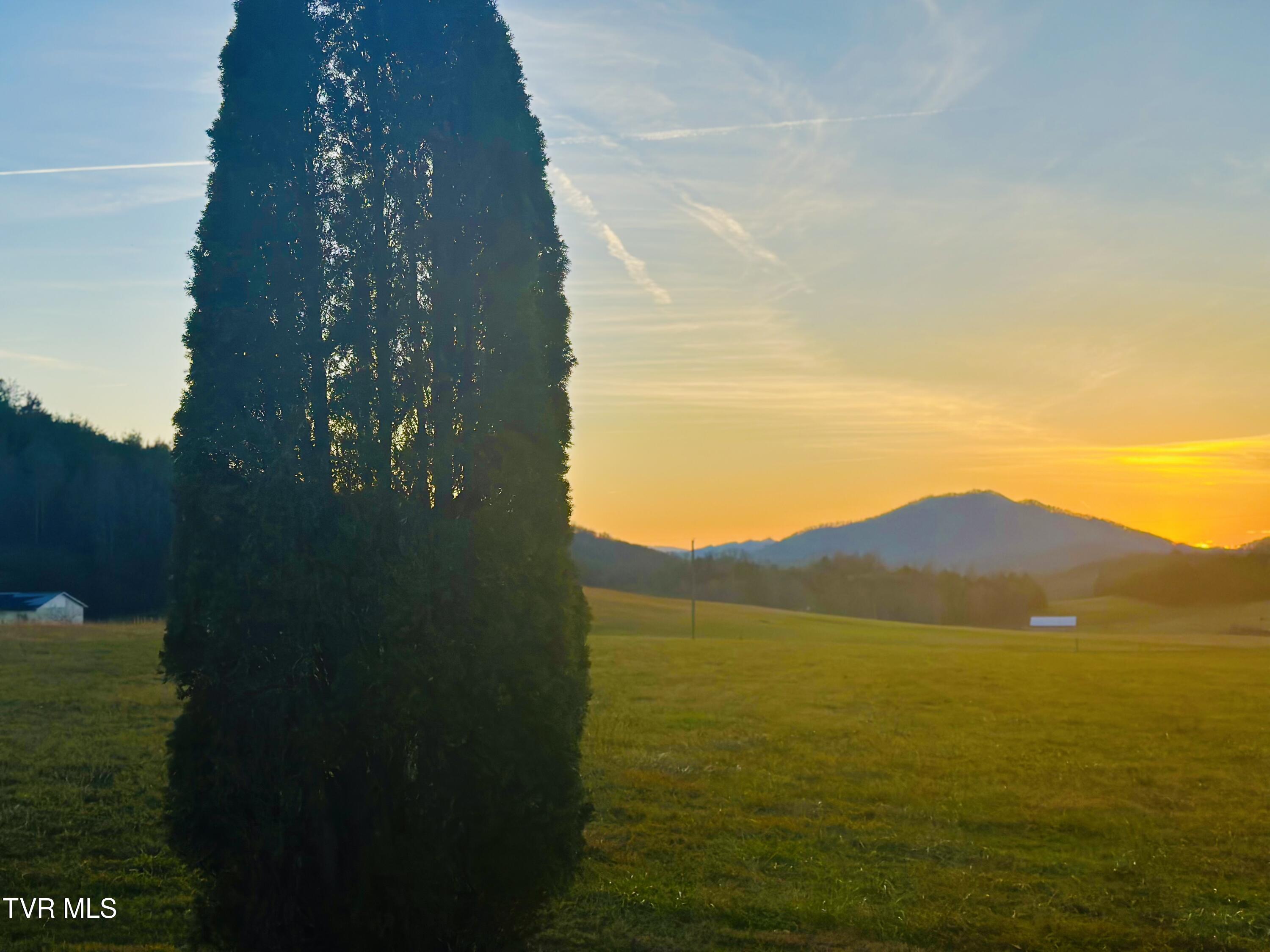 3289 Long Creek Road Parrottsville, TN 37843 - Photo 3 of 36 IMG_5168