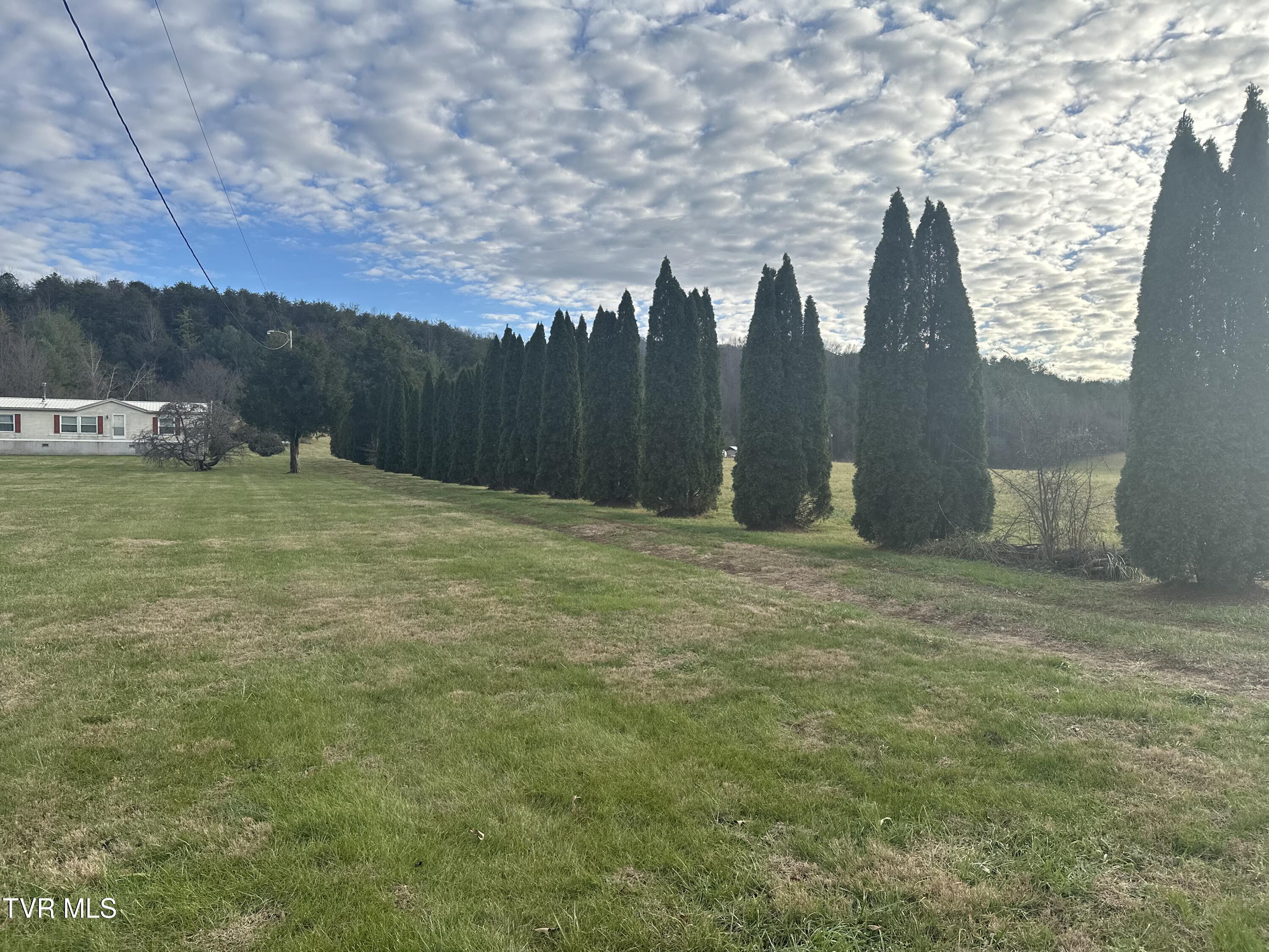 3289 Long Creek Road Parrottsville, TN 37843 - Photo 34 of 36 IMG_4962