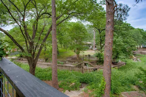 a view of a trees in a yard