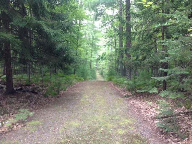 On Catfish Lake Road, Unit 2 Eagle River, WI 54521 - Photo 3 of 8 Gallery Image 3