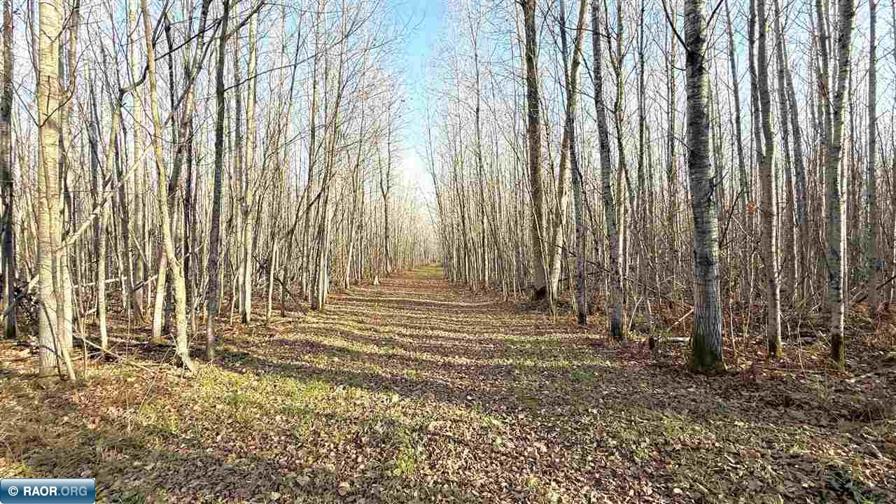 11680 Co Road Orr, MN 55771 - Photo 11 of 23